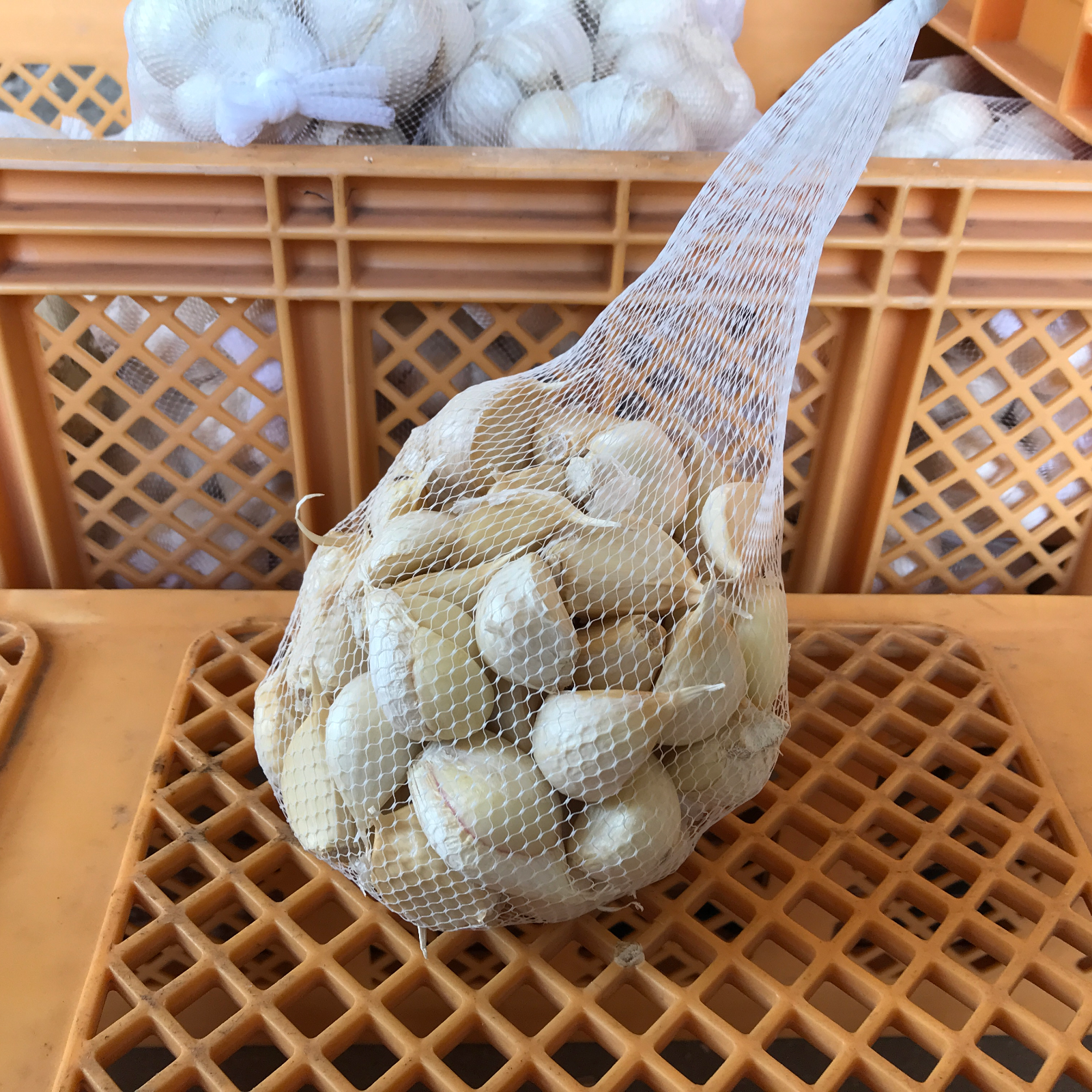 わけあり品 青森県産ホワイト六片種にんにく バラ 500g ｜ 野菜