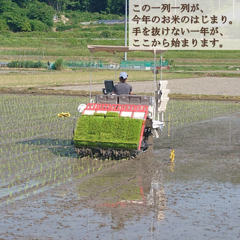 2026年 岡山県産 ニコマル 10kg 玄米 ｜ 米・穀物/玄米 産直アウル