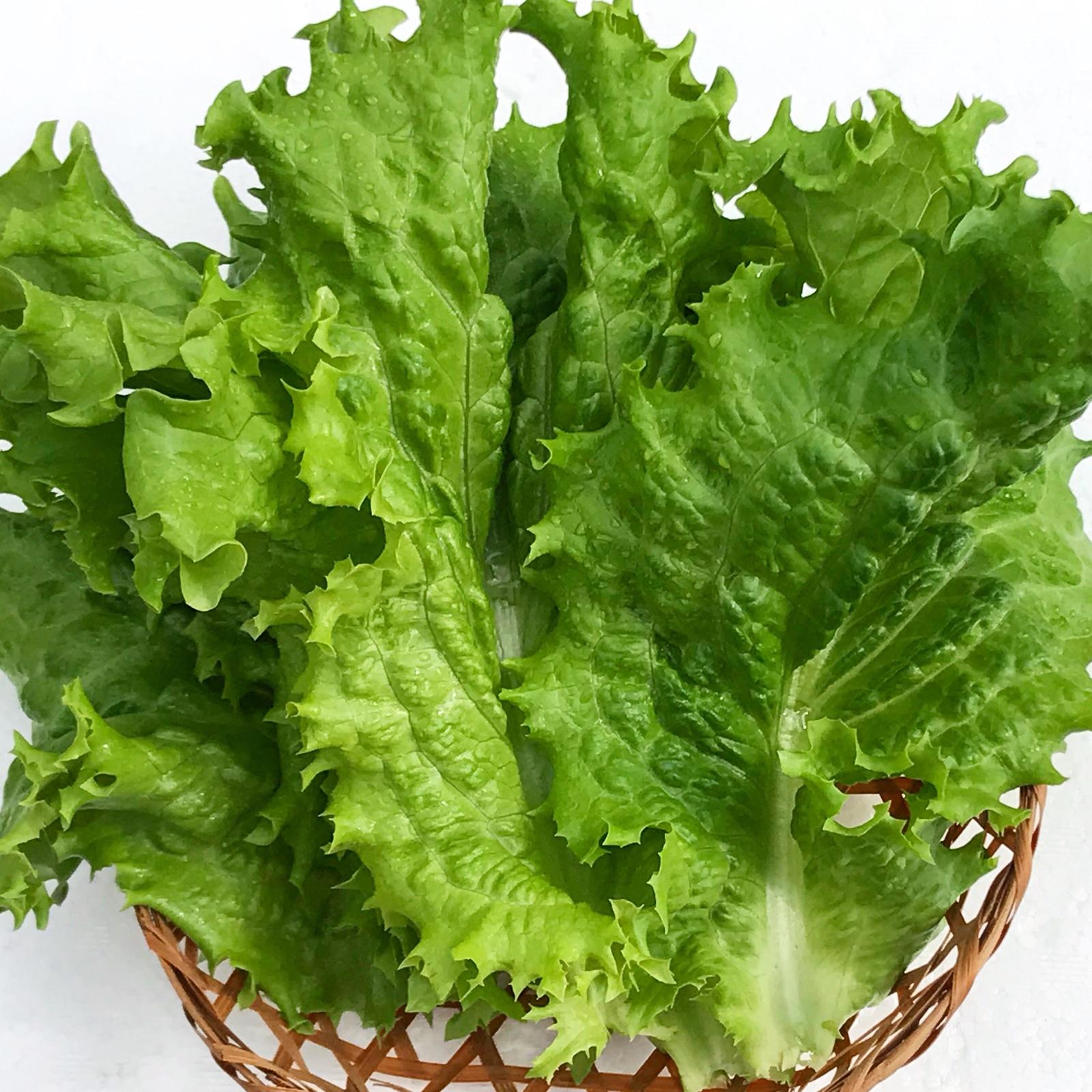 市場 野菜 詰め合わせ レタス フリルとリーフセット メーカー直送品 Led野菜 屋内栽培 新鮮 フリルレタス