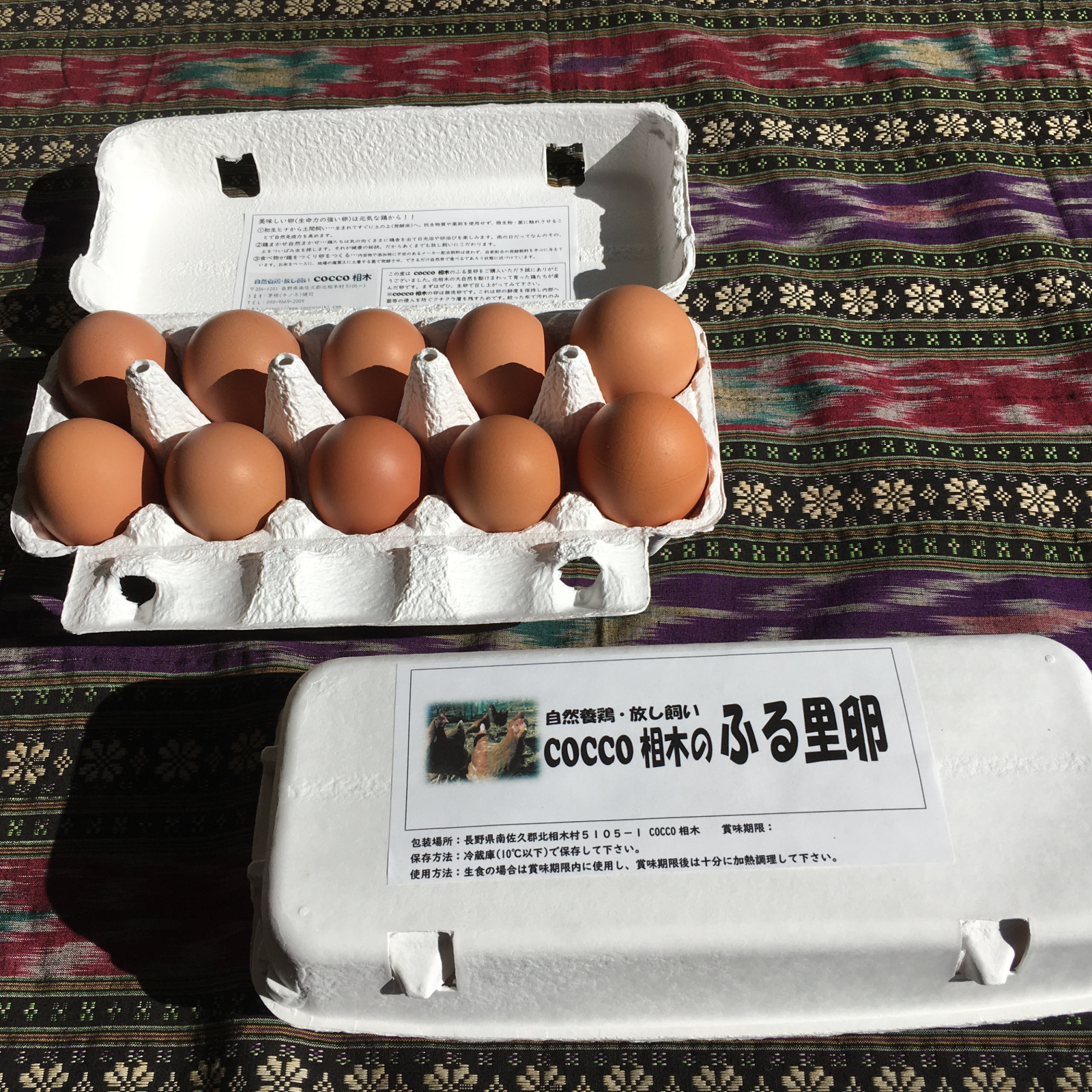 生食に最適！ 放し飼いの鶏が産んだ卵20個入り ｜ 卵/鶏卵 産直