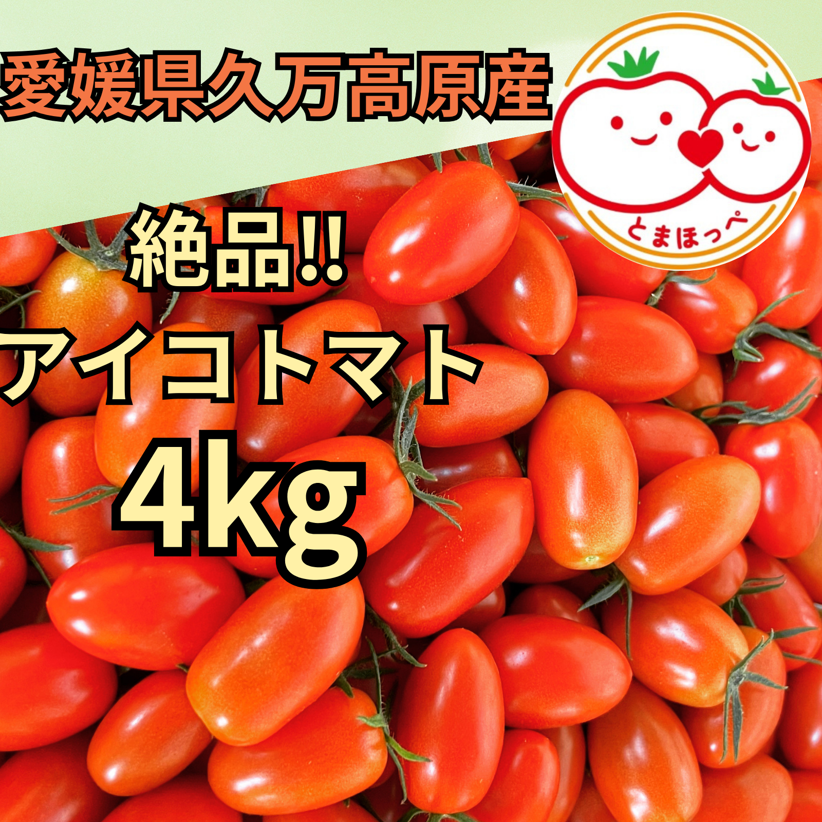 絶品】皮がパリッとジューシーなアイコ（4キロ） ｜ 野菜/トマト 産直