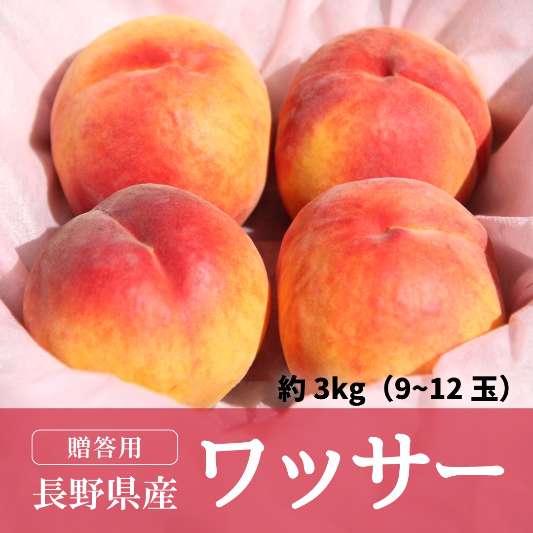 56信州産 早生ワッサー家庭用3キロ2箱 ふるさと納税「フルーツ
