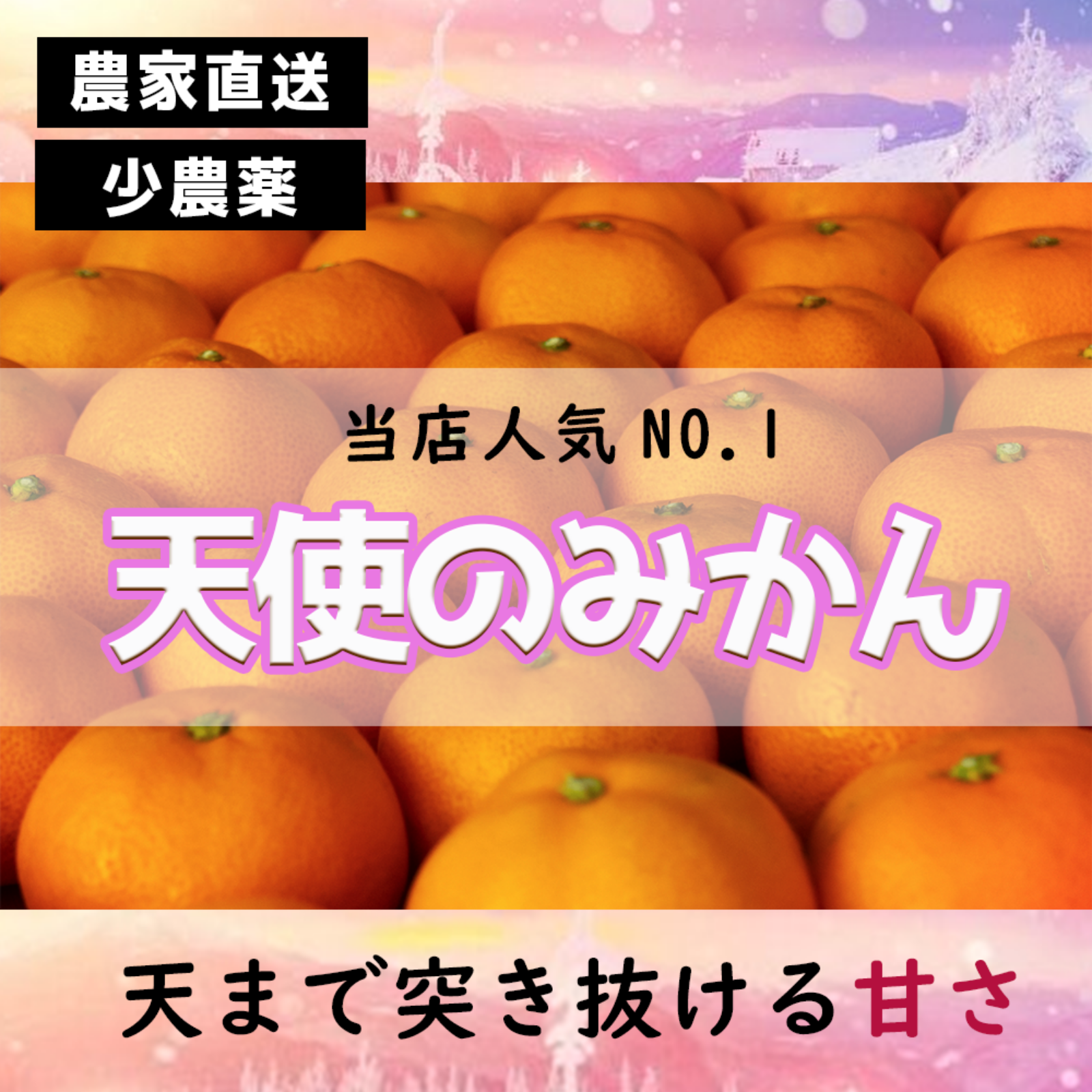 小玉の有田みかん【天使のみかん】 甘すぎるとリピ続出!10kg | 果物/温州みかん 産直アウル 農家から直接野菜などの食材を購入できる産地直送の宅配通販サイト 小玉の有田みかん【天使のみかん】 甘すぎるとリピ続出!10kg | 果物/温州みかん 産直アウル 農家から直接野菜などの食材を購入できる産地直送の宅配通販サイト