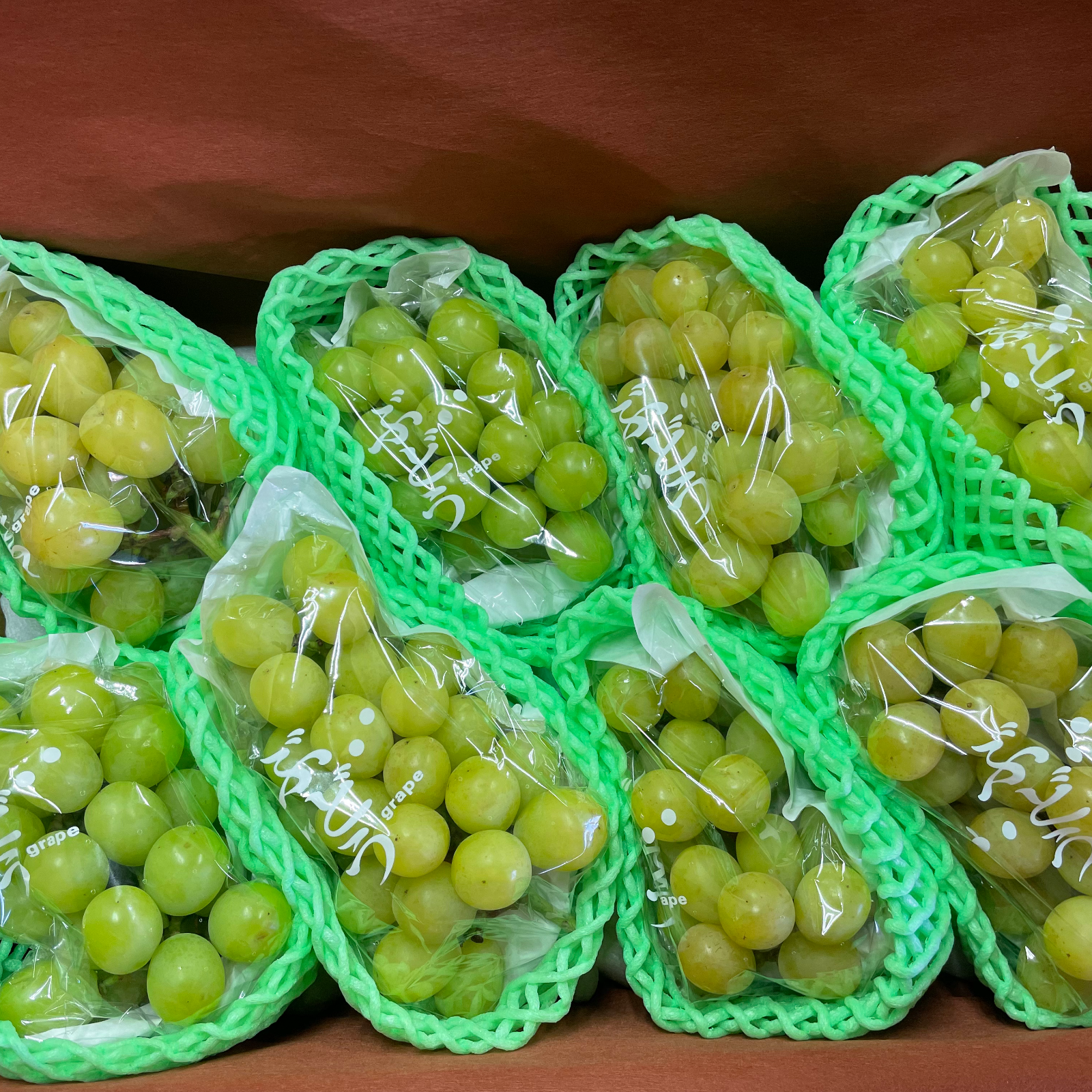 シャインマスカット大粒多め入り限定特売品になります。