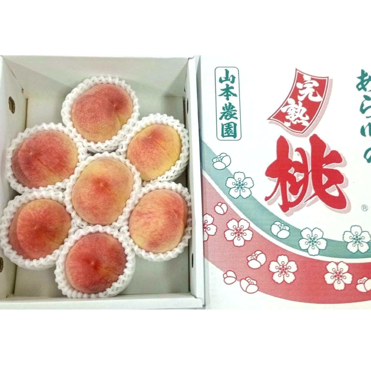 和歌山県産 あら川の桃（白鳳） 産地直送 旬の果物15玉入り 日川白鳳！秀品中玉7玉入り☆あら川ブランド桃 ｜ 果物/もも 産直