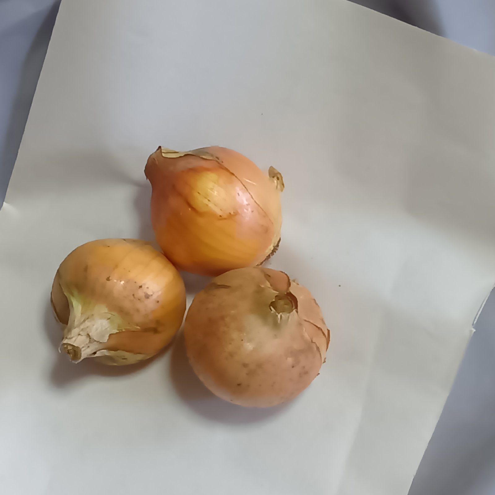 農薬不使用】新玉ねぎ 3㎏（2025年6月上旬収穫） ｜ 野菜/玉ねぎ 産直