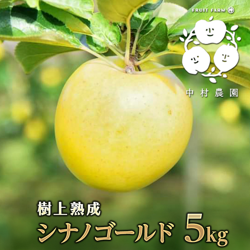 シナノゴールド 5kg 家庭用 樹上完熟シリーズ ｜ 果物/りんご 産直