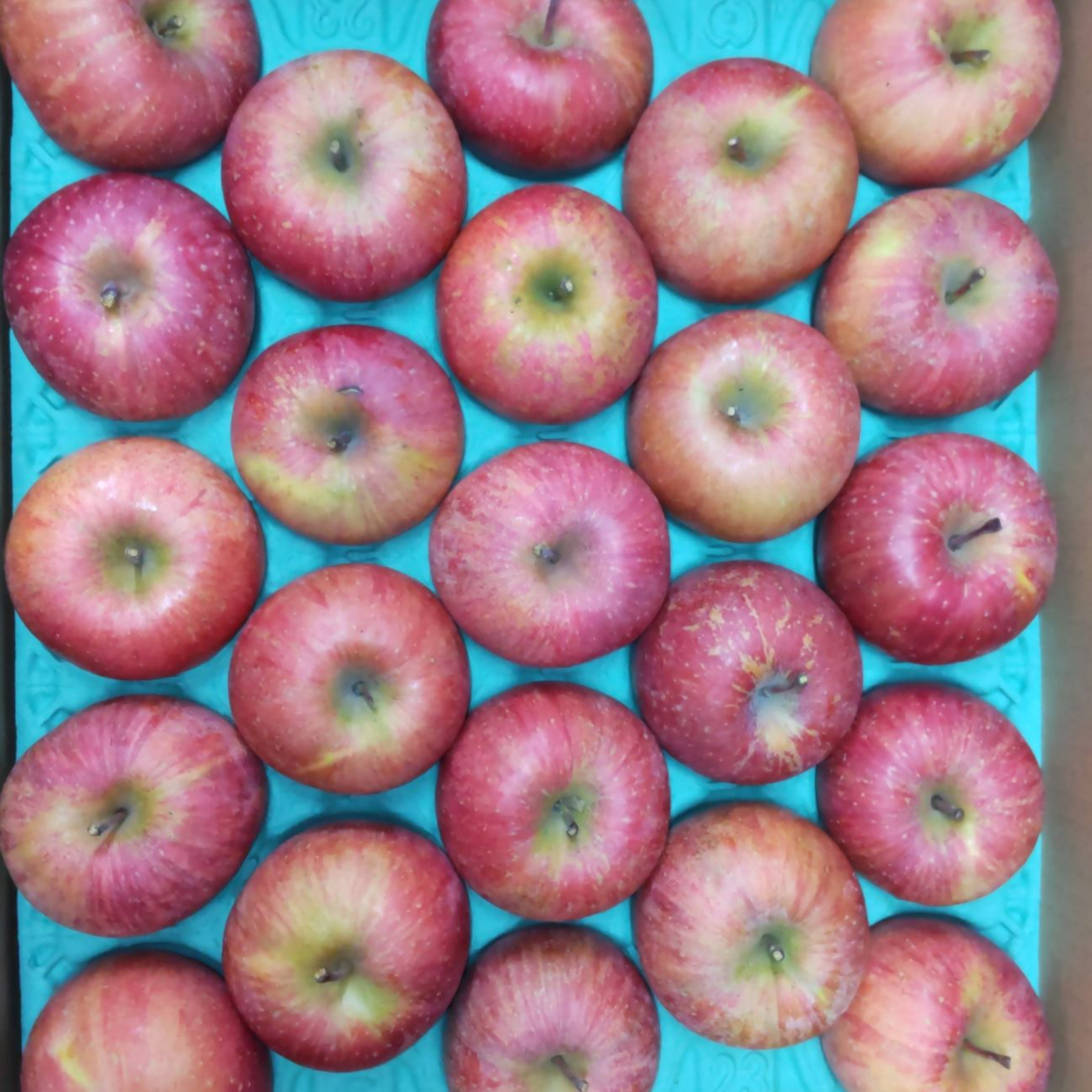 りんご サンふじ 中・小玉 5kg | 果物/りんご 産直アウル 農家から直接