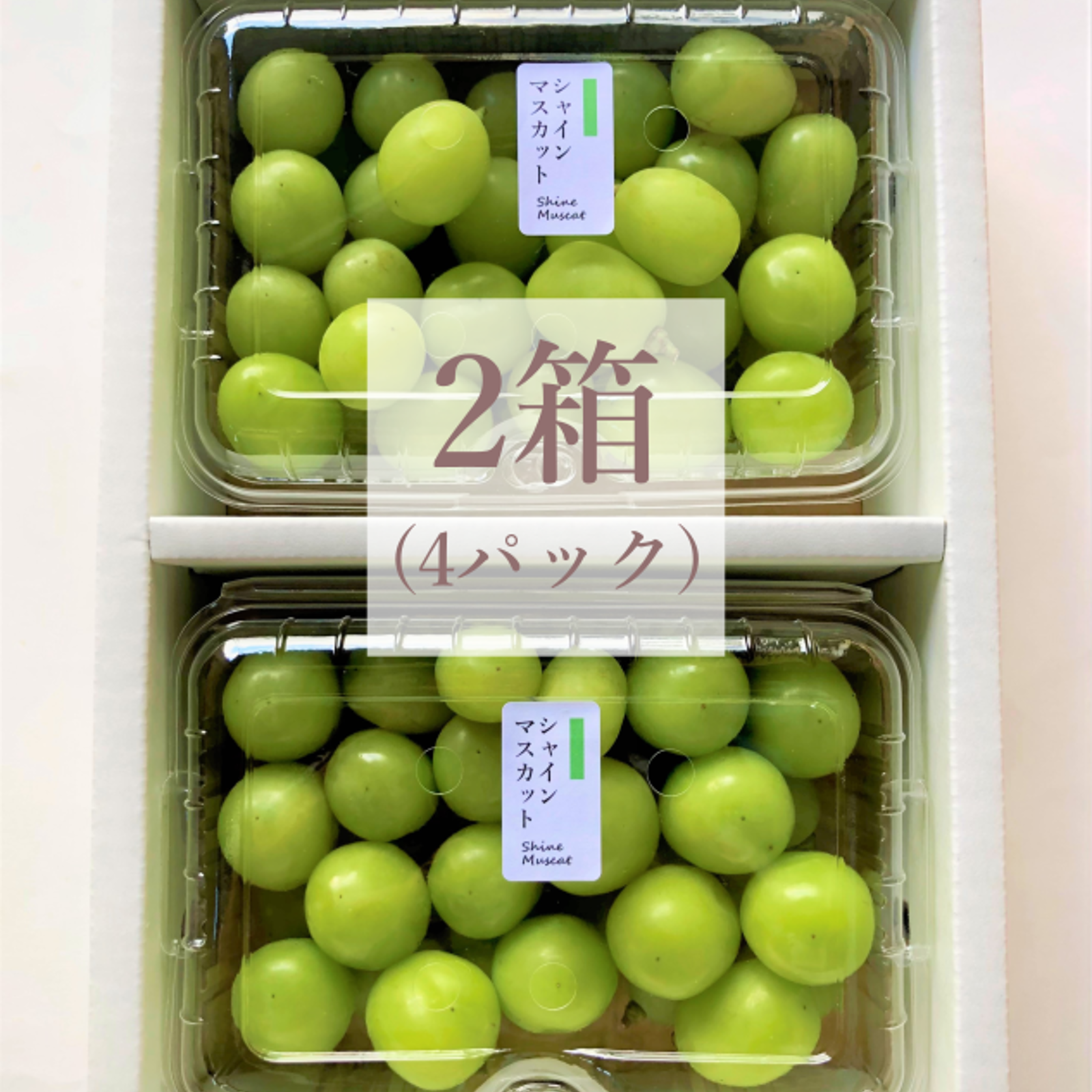 プレミアム特秀品大粒シャインマスカット 2キロ　摘み落とし 高級品種 シャインマスカット『摘み落とし』2kg ｜ 果物/ぶどう 産直アウル 農家