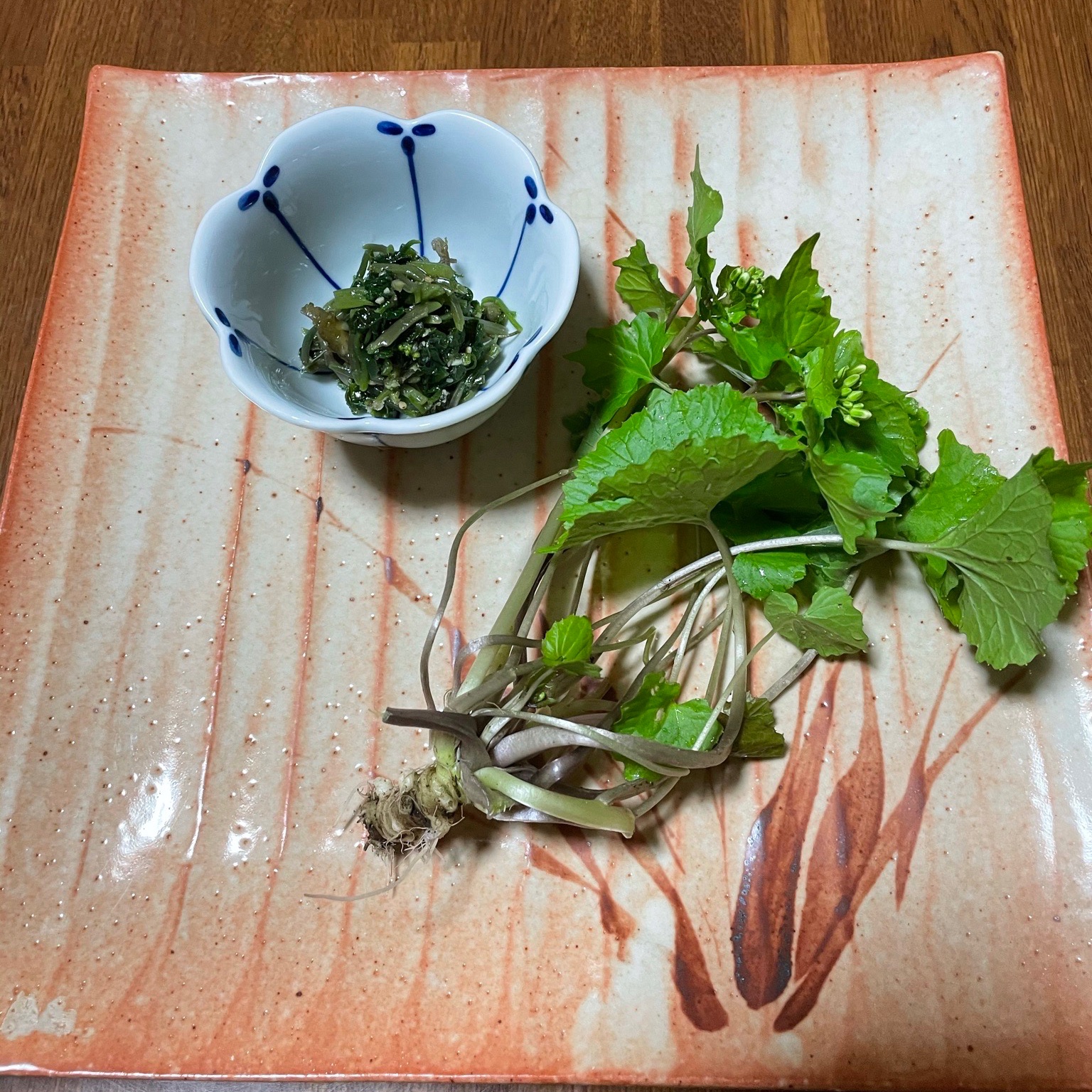 鳥海山の雪解け天然山ワサビ〔葉わさび〕400グラム ｜ 野菜/山菜 産直