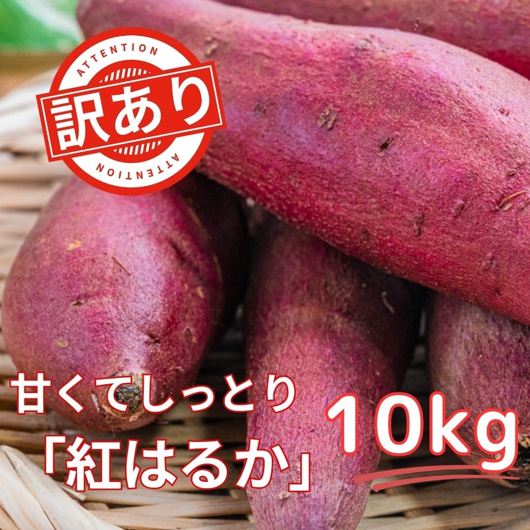 お得な訳あり！】 さつまいも10kg 熟成紅はるか （土付き） | 野菜