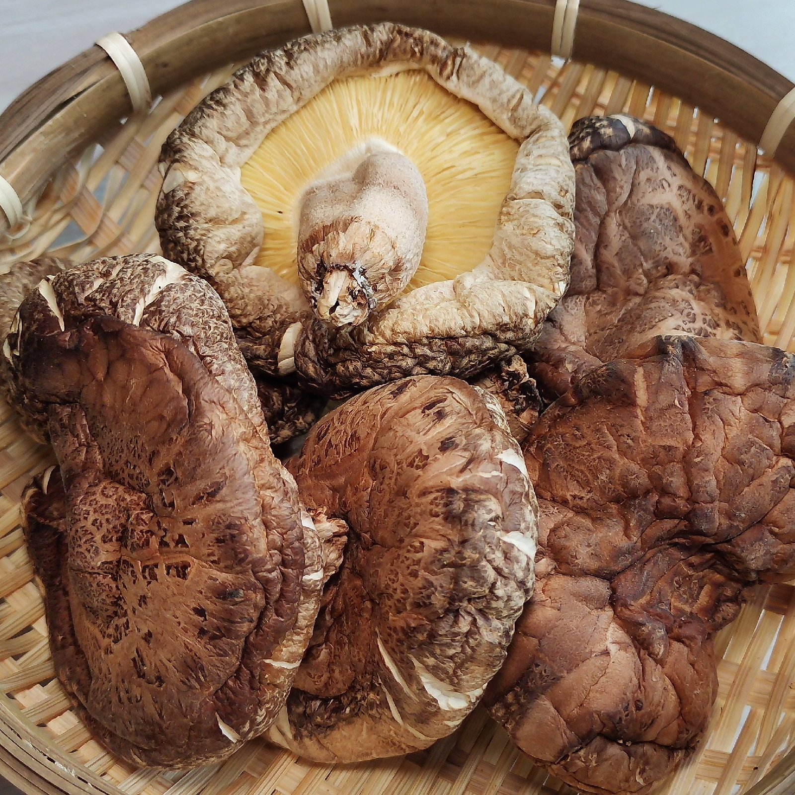 冬菇（どんこ）特大 120g（40g✕3個）原木乾しいたけ 大分県国東産