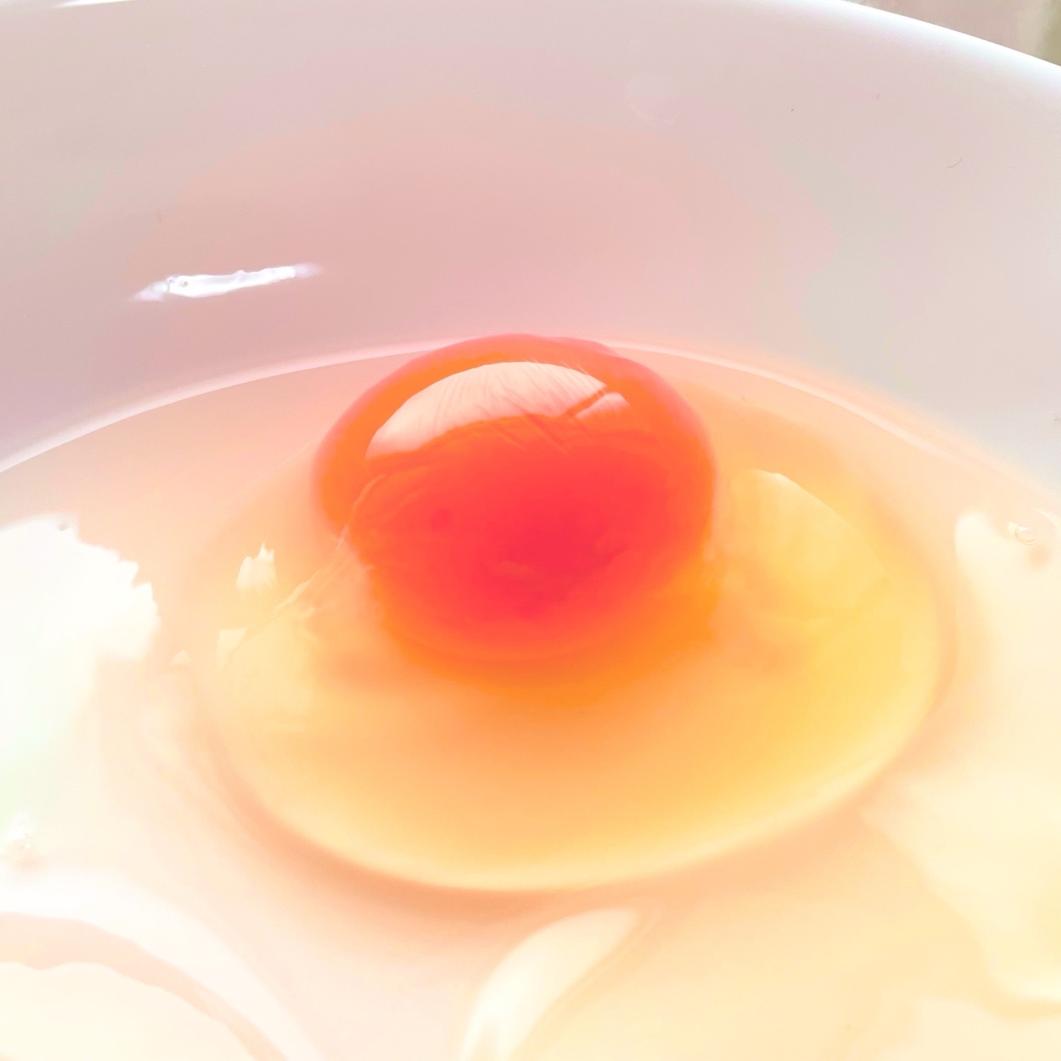 土用のたまご赤卵】MSサイズ『枯草菌』育ちの鶏の赤卵 ｜ 卵/鶏卵 産直