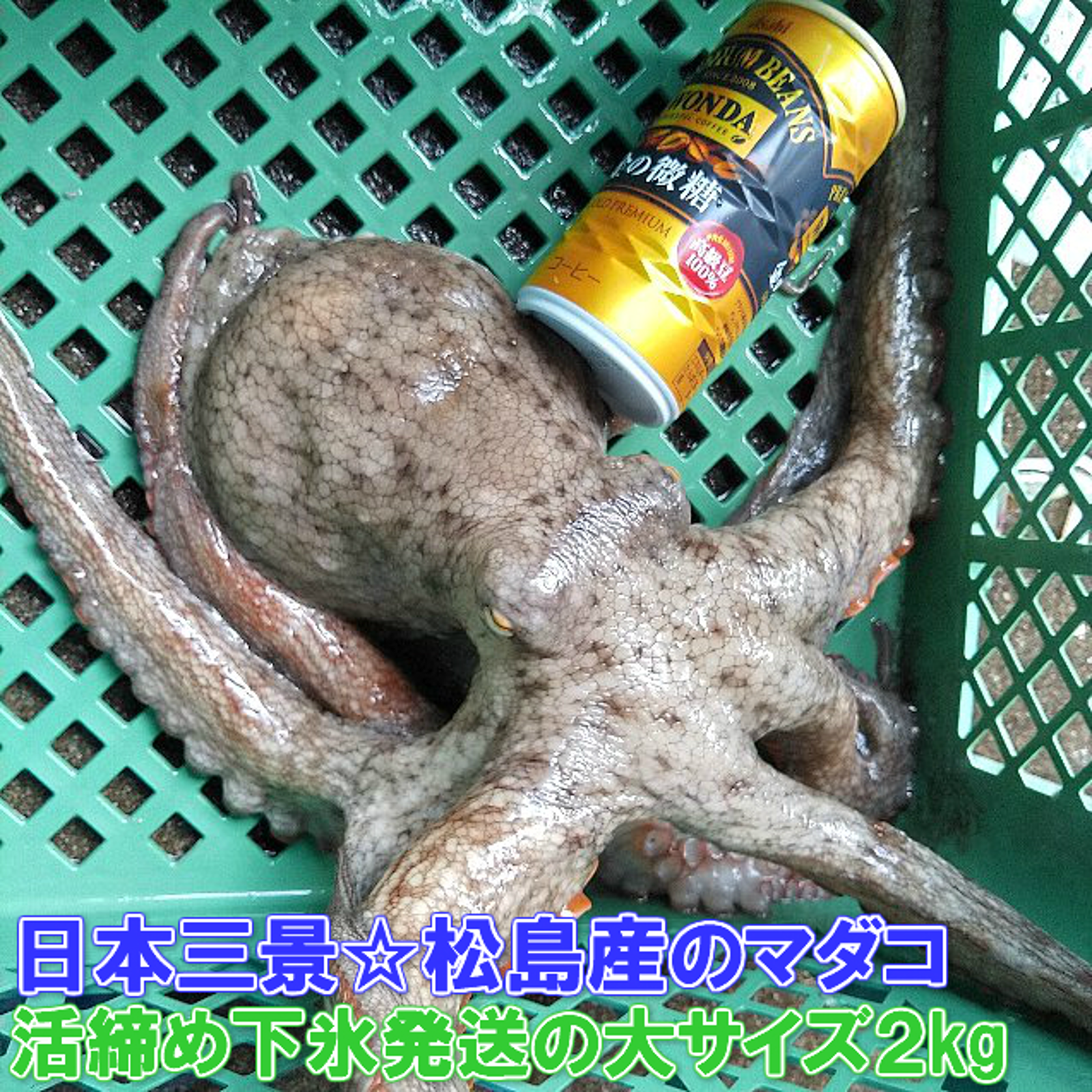 専用 瀬戸内海でとれたマダコ2kg