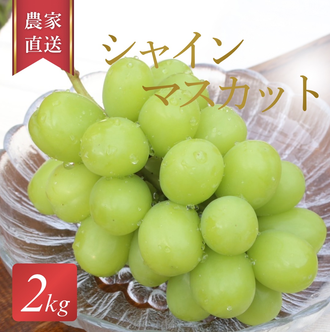 産地直送】 シャインマスカット 山梨県産 3〜5房(2kg程度) ｜ 果物