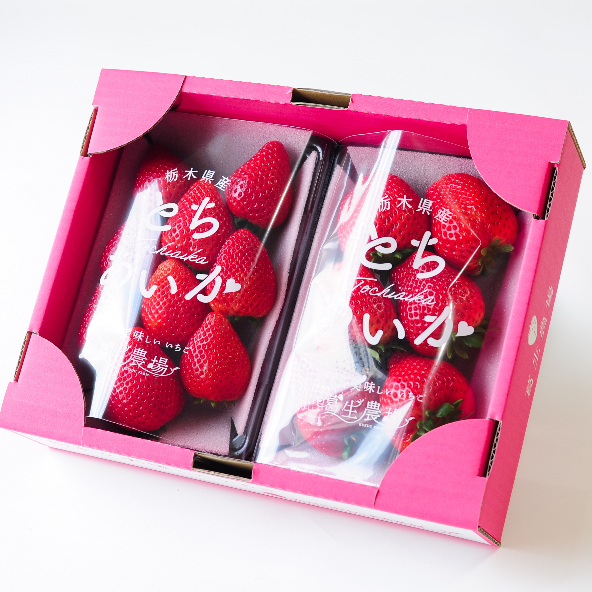 平2種食べ比べ2P（300g×2パック）2品種組み合わせ！とちぎのいちご