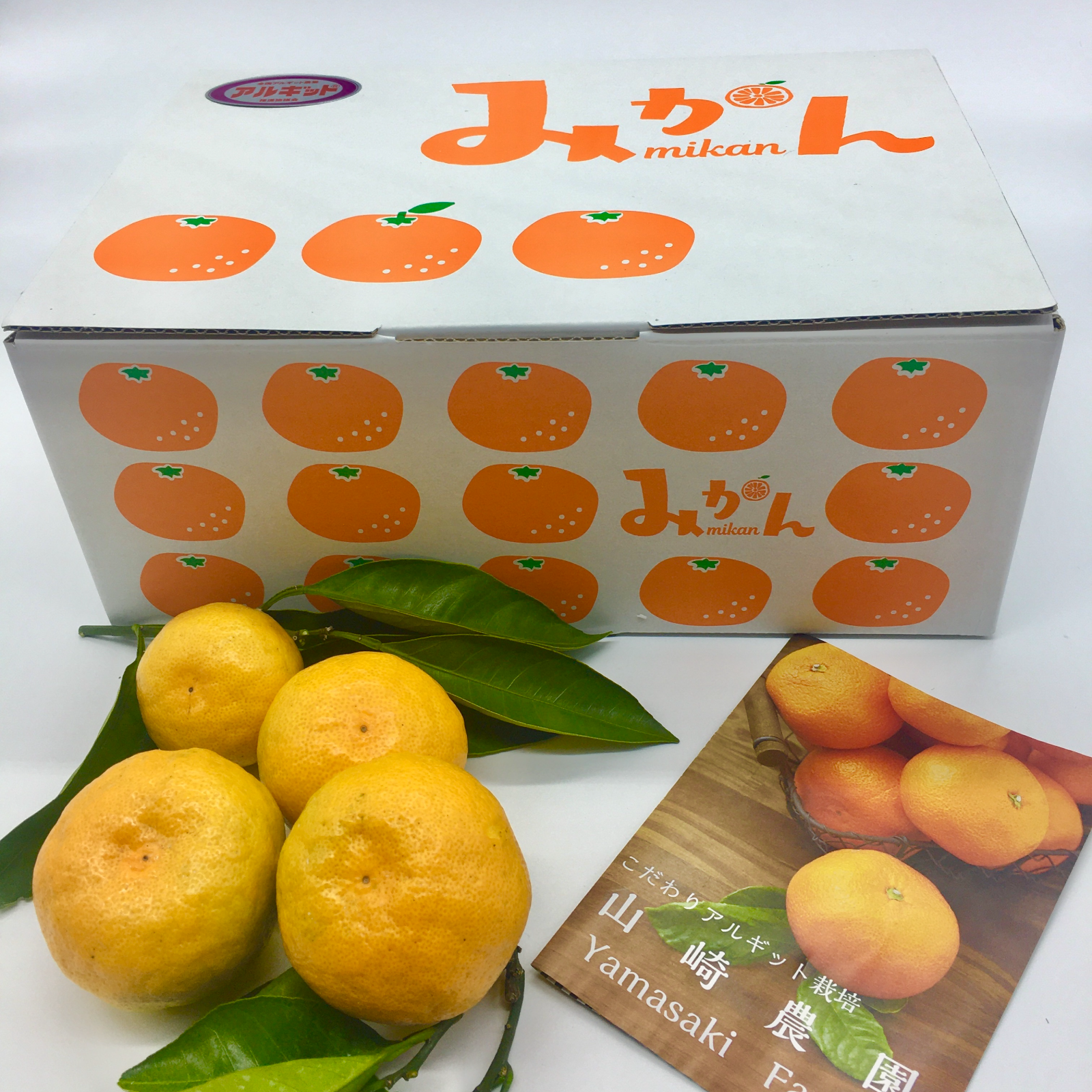 有田みかん極早生 3kg レギュラー こだわりアルギット栽培 | 果物/温州