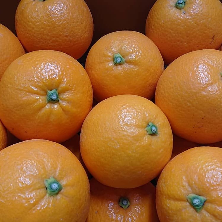 7758c453ff5f628753eafe8ad86847