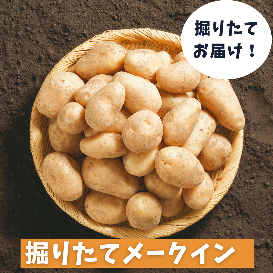 新じゃが箱込10kg】じゃがバター最強 掘りたてメークイン ｜ 野菜