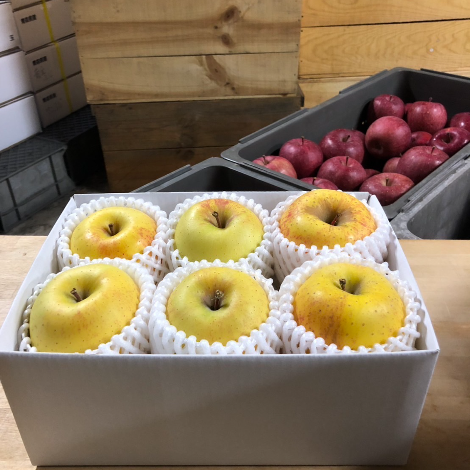 はるかお試し・こうとく6個のセット ｜ 果物/りんご 産直アウル 農家