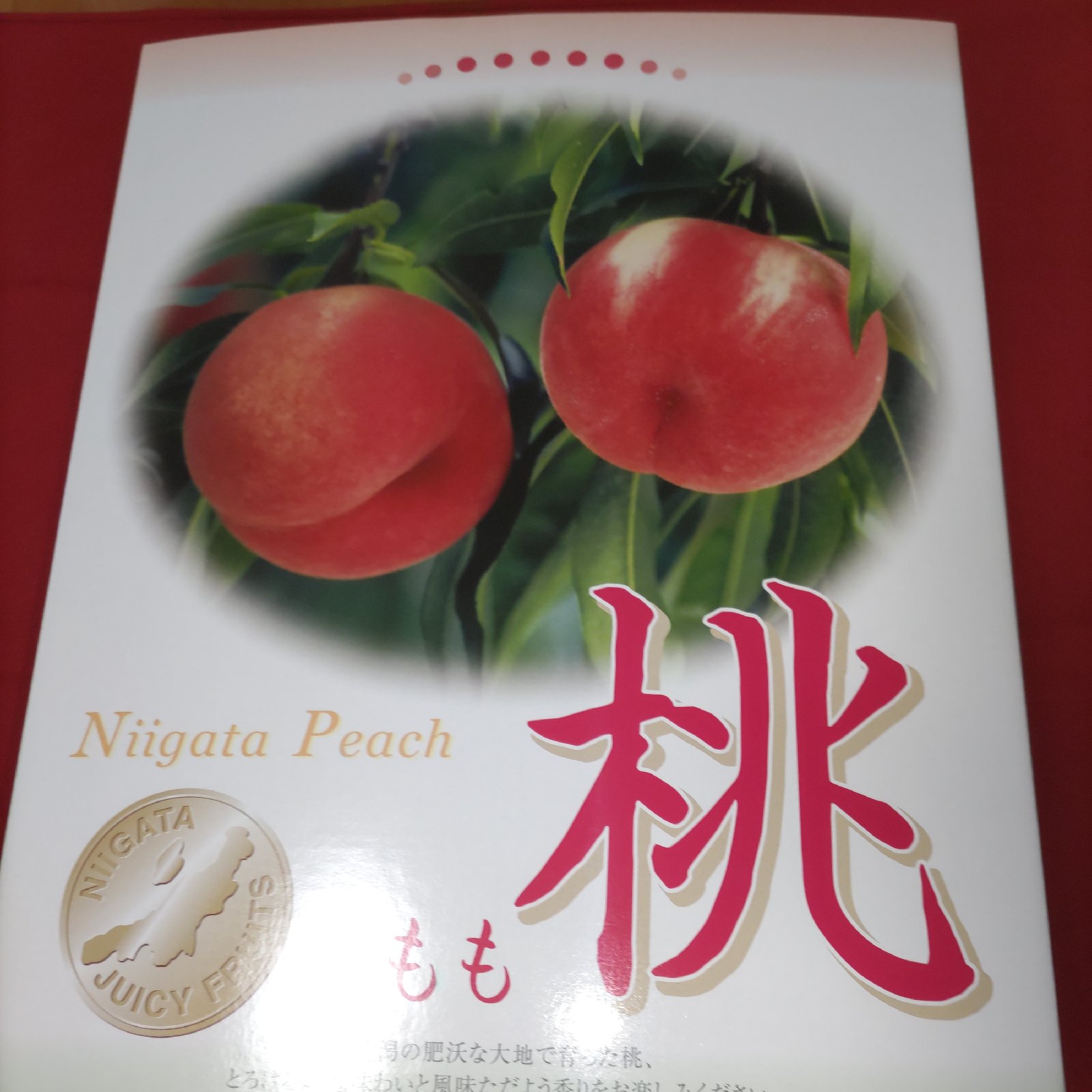 朝採り桃3kg 8玉~11玉入り ｜ 果物/もも 産直アウル 農家・漁師など 