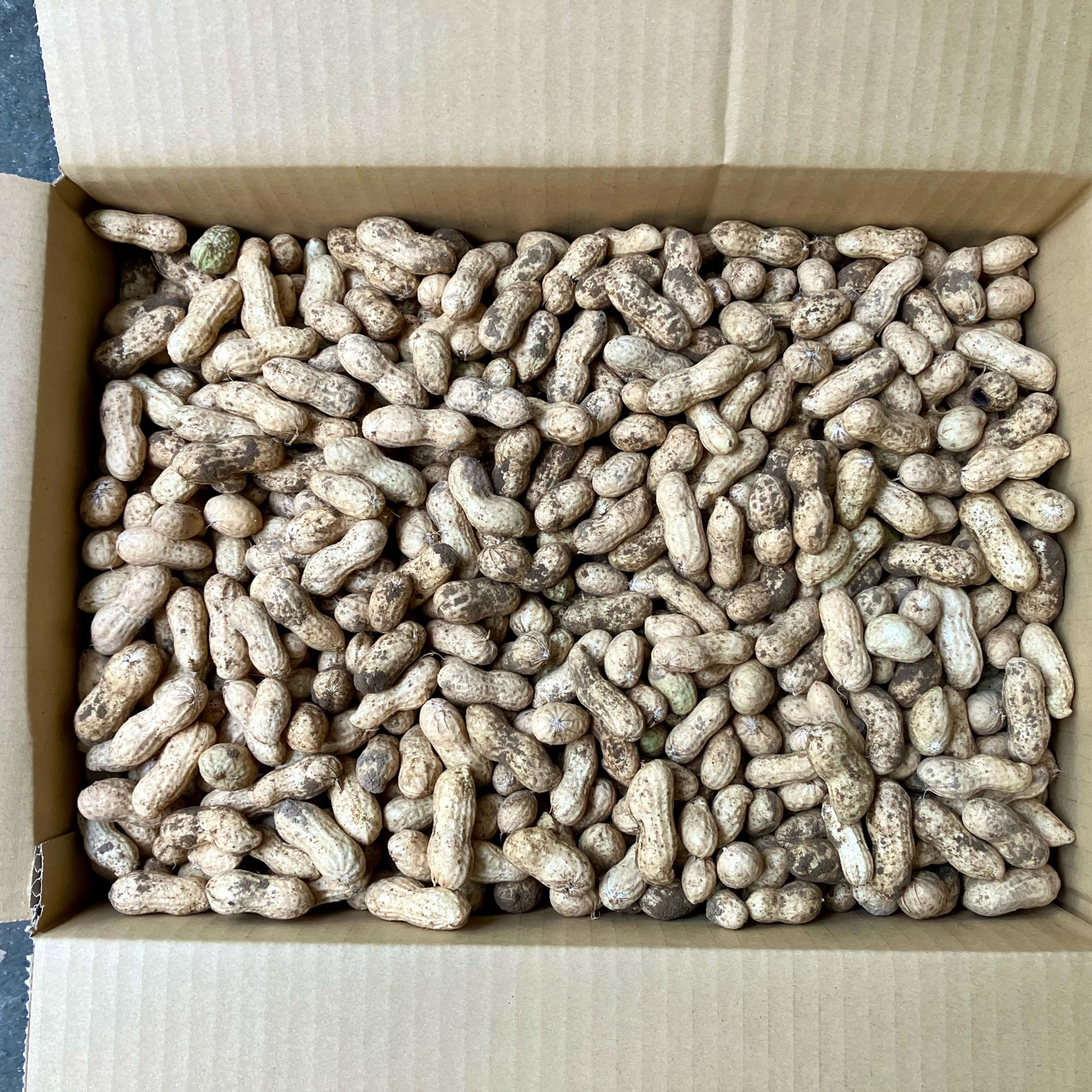 鹿児島産】甘塩生落花生箱込み5キロ^_^ ｜ 野菜/豆類 産直アウル 農家