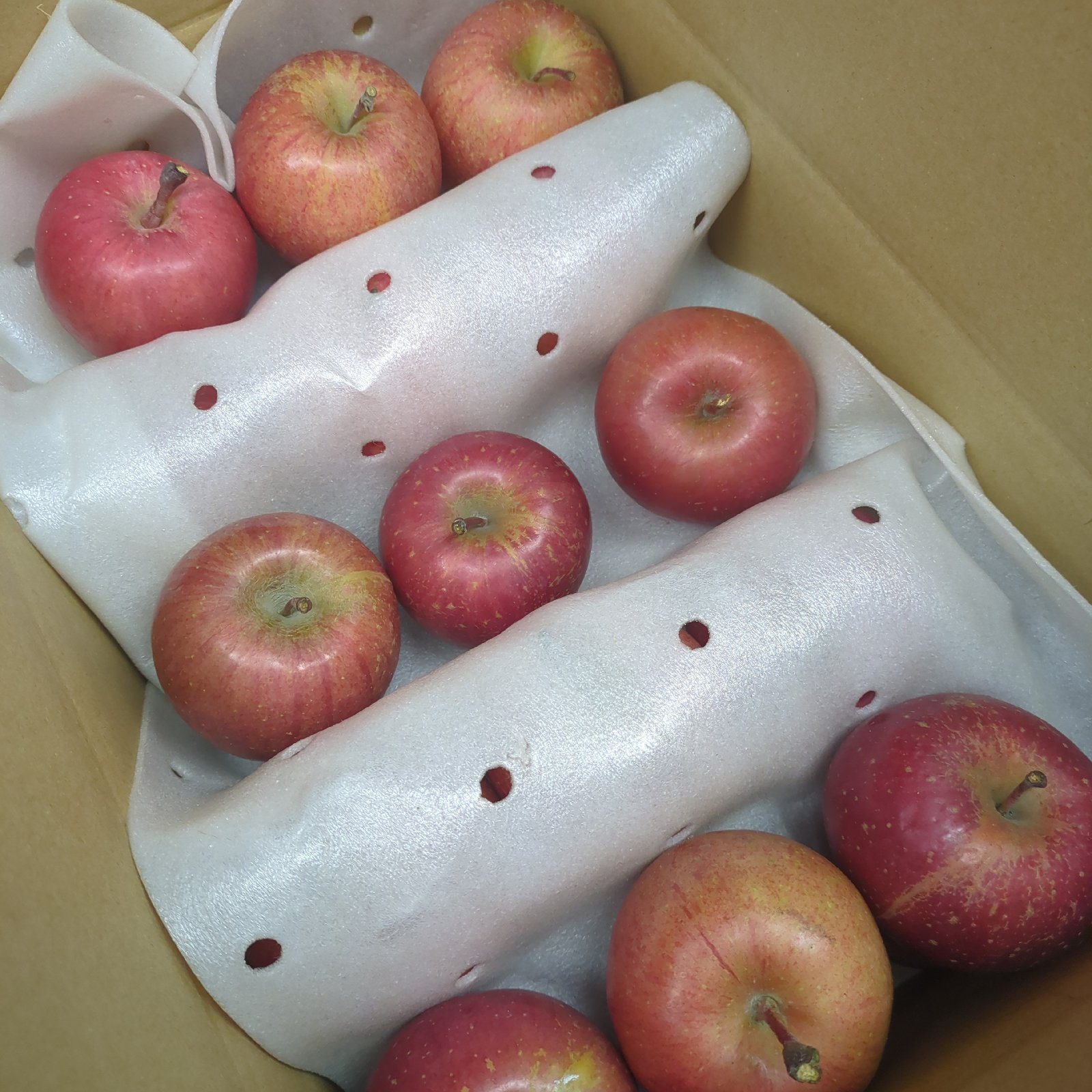 2【極小】サンふじ 小玉りんご | 果物/りんご 産直アウル 農家から直接