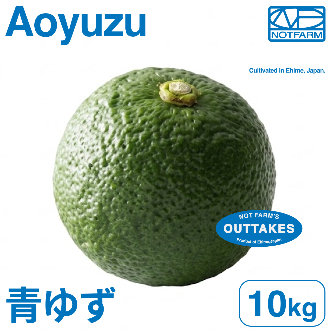 美味しさそのまま】訳あり青ゆず10kg 愛媛県産 青柚子 BLUE YUZU