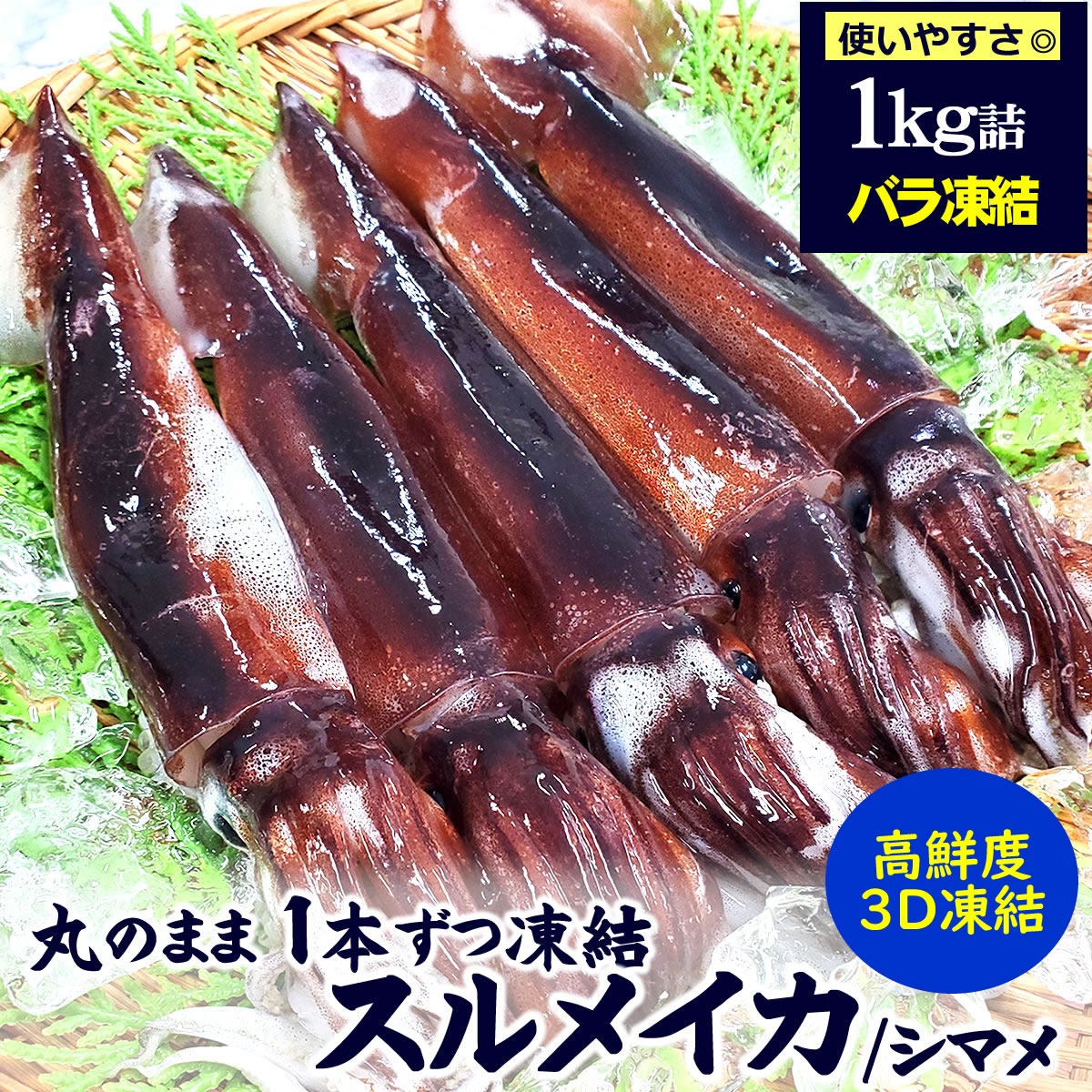 スルメイカ（冷凍）計2kg 約1kg（6杯前後入）×2パック お刺身OK