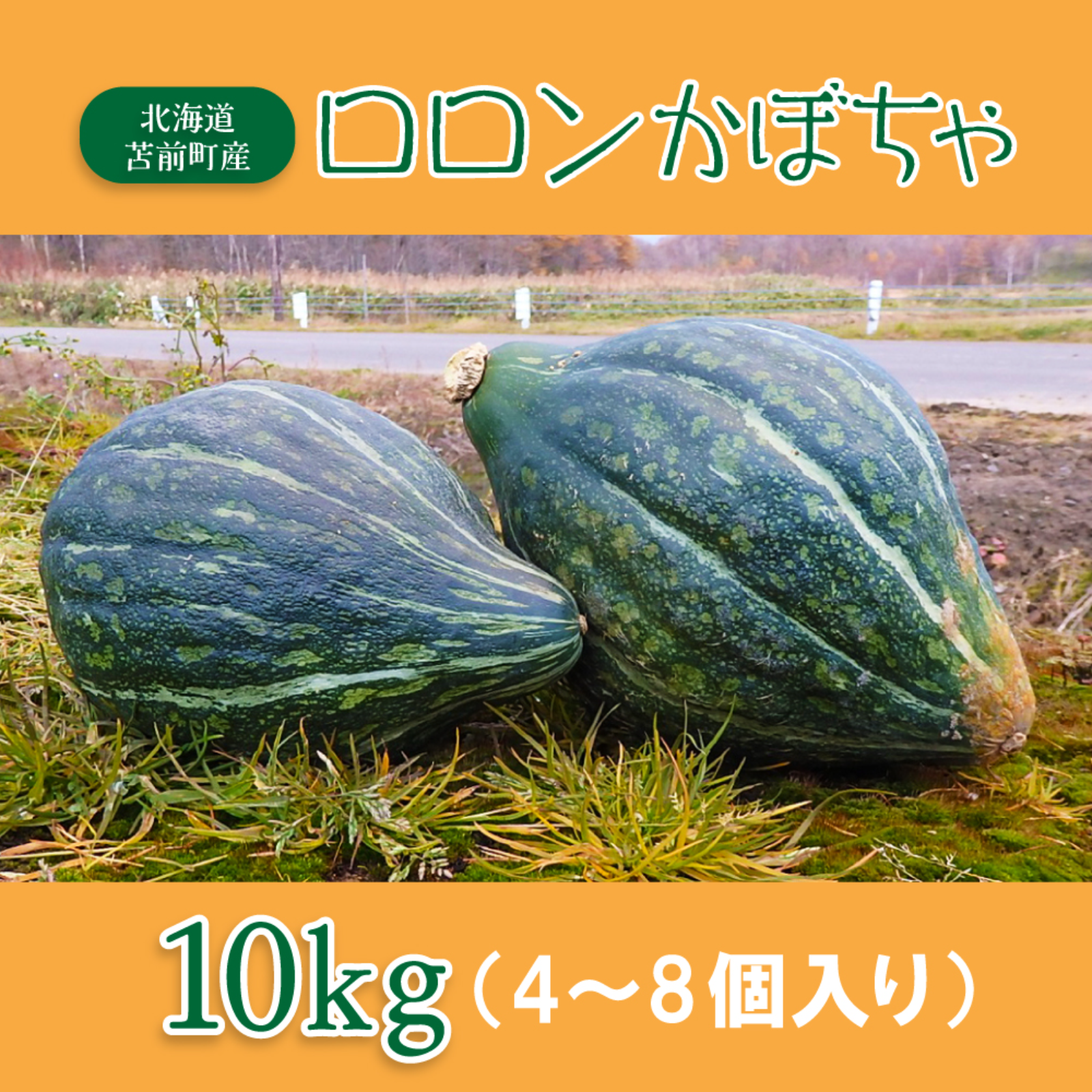 新鮮 かぼちゃのつる 10キロ 数量限定】ロロンかぼちゃ 10kg ｜ 野菜/かぼちゃ 産直アウル 農家