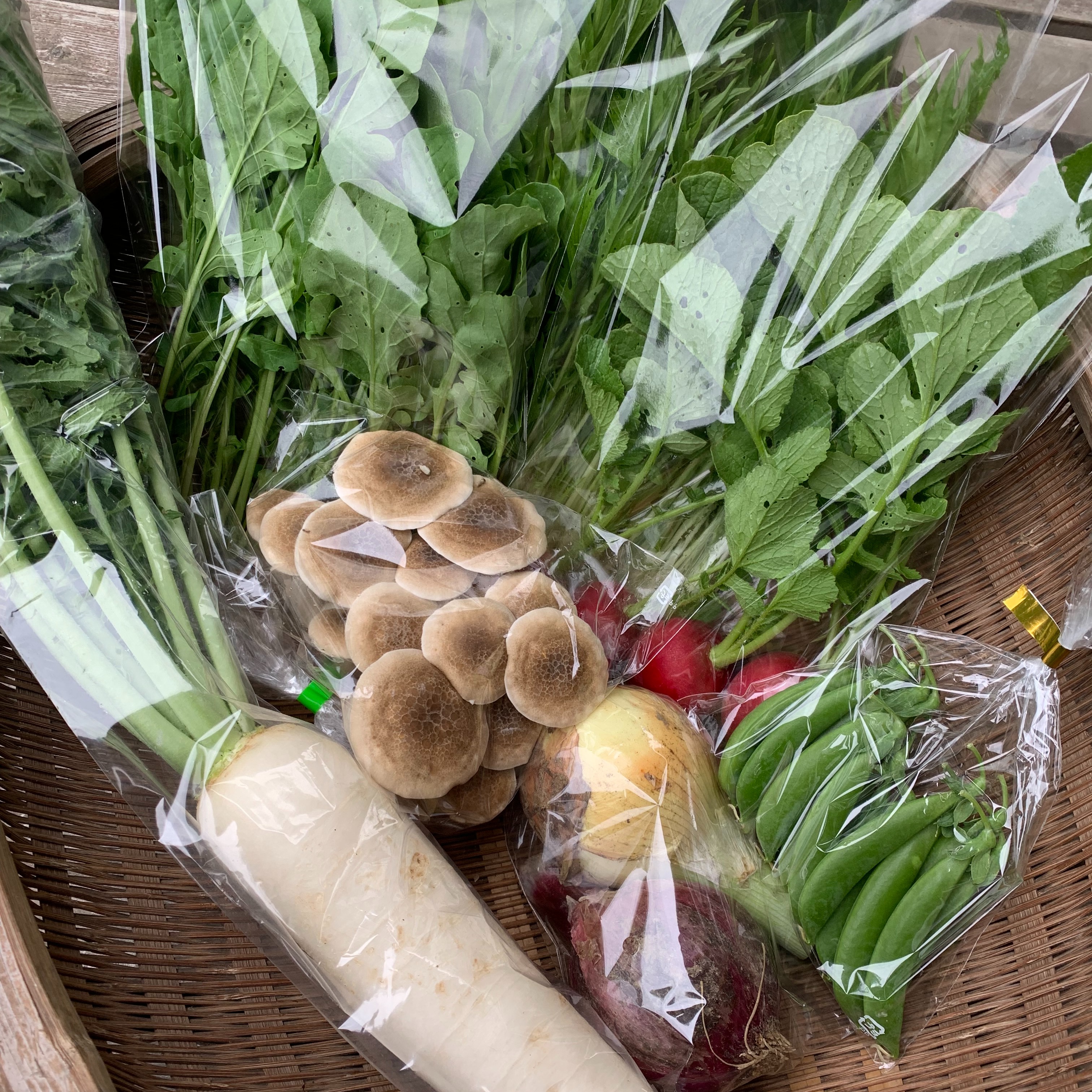 8～10品目】旬の野菜セット 【農薬、化学肥料、除草剤不使用】 | 野菜