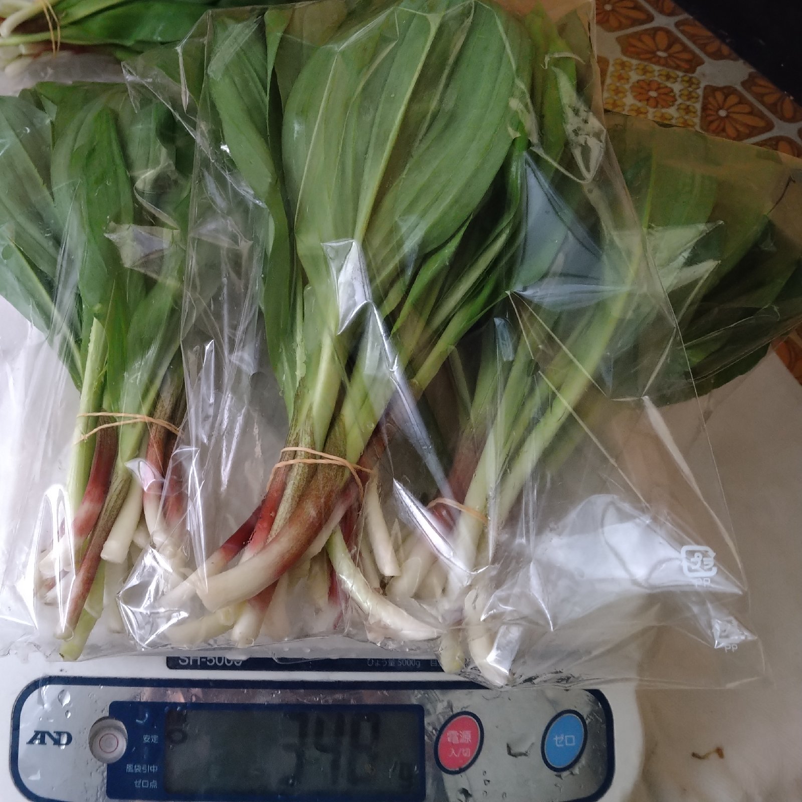 【2kg】天然行者にんにく Amazon | 北海道中標津町産 行者にんにく（約1か月分、30粒入り