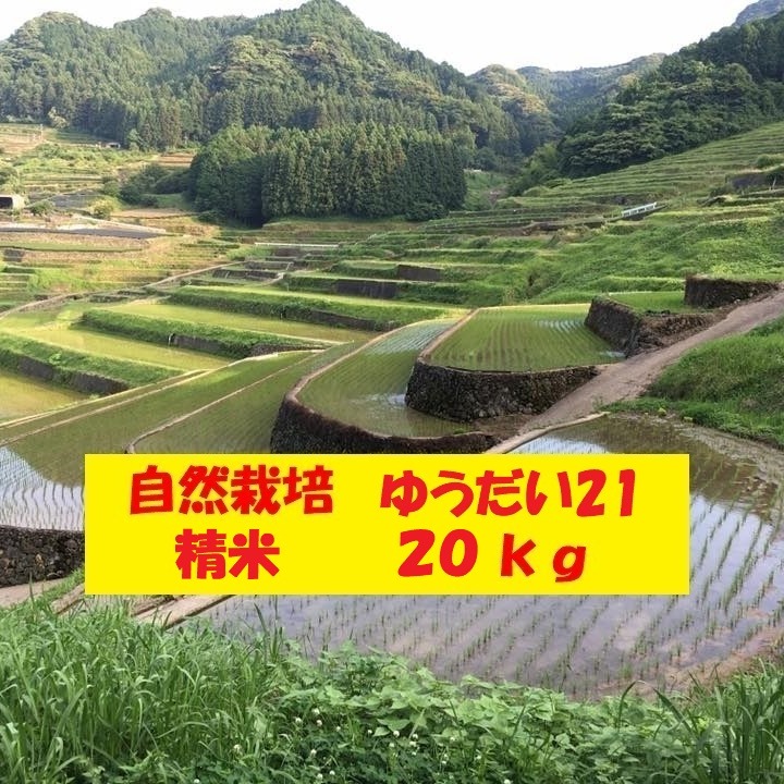 栃木県産農家直売ゆうだい21精米後9kg 【公式通販】