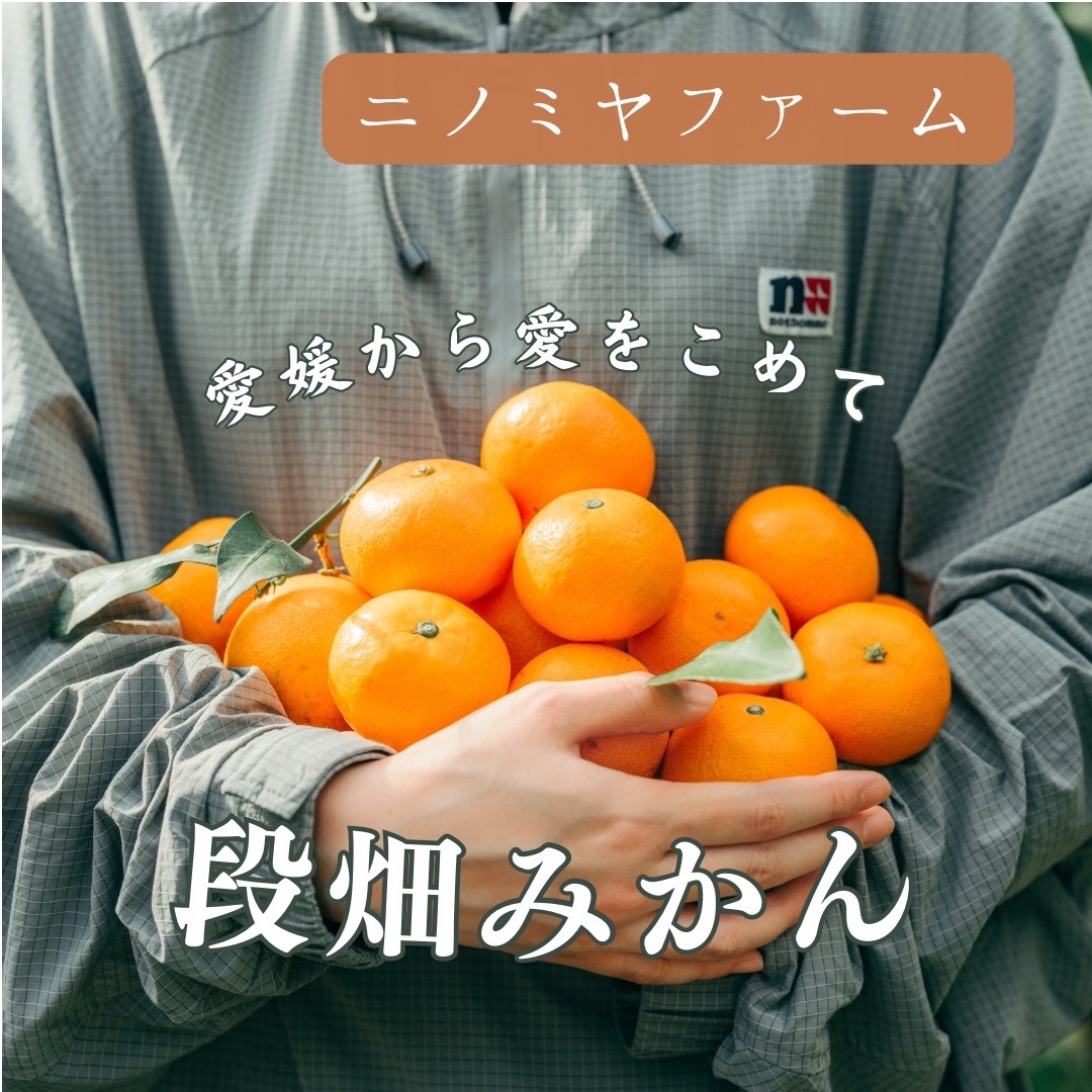 ダックスママさんが ニノミヤファーム の ※去年は大人気の為【予約受付