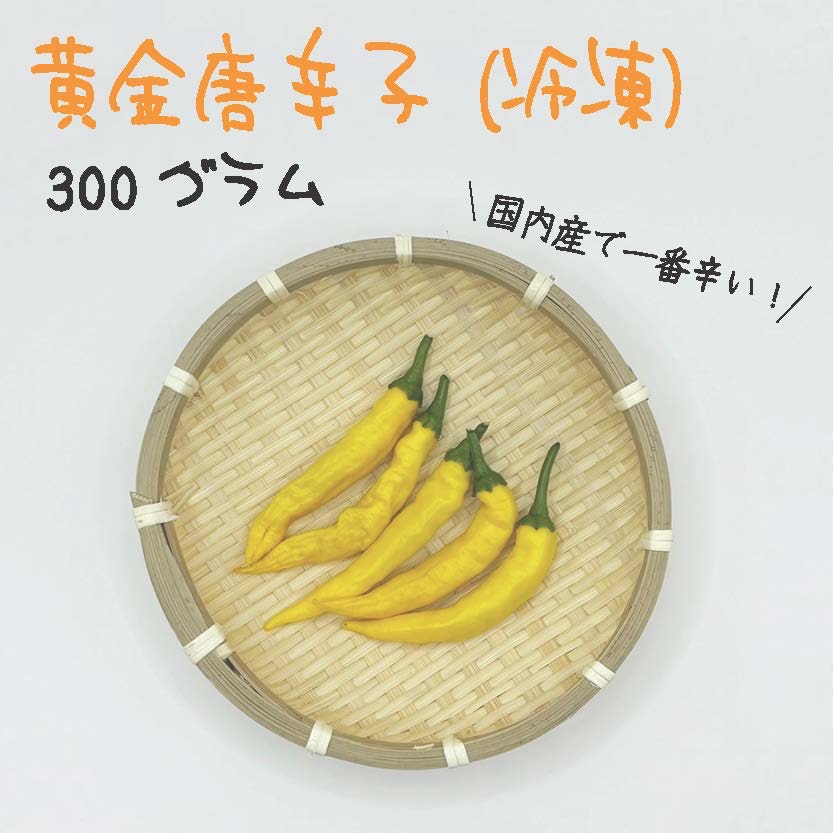 黄金唐辛子 約300g 宮崎産 冷凍 激辛 収穫後に急速冷凍 | 野菜