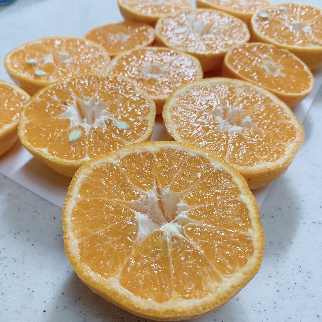 5周年限定】鹿児島県産「4種のみかん柑橘詰め合わせ」10kg ｜ 果物