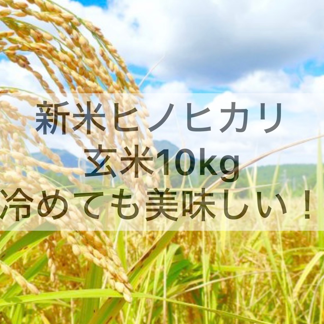 ヒノヒカリ(玄米)（米・穀物＞玄米）の産地直送商品一覧（通販・お