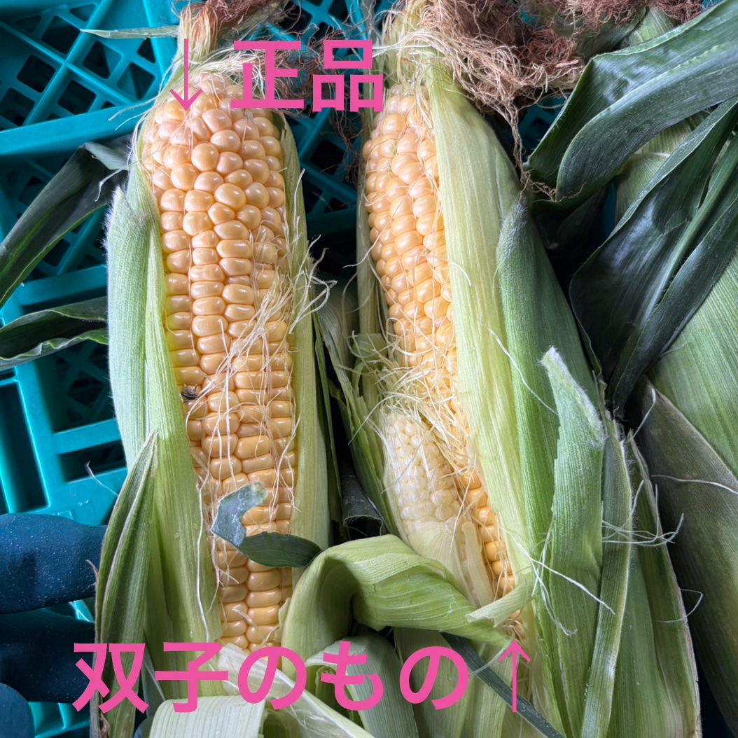 恵味の産地直送食材一覧（通販・お取り寄せ）-産直アウル