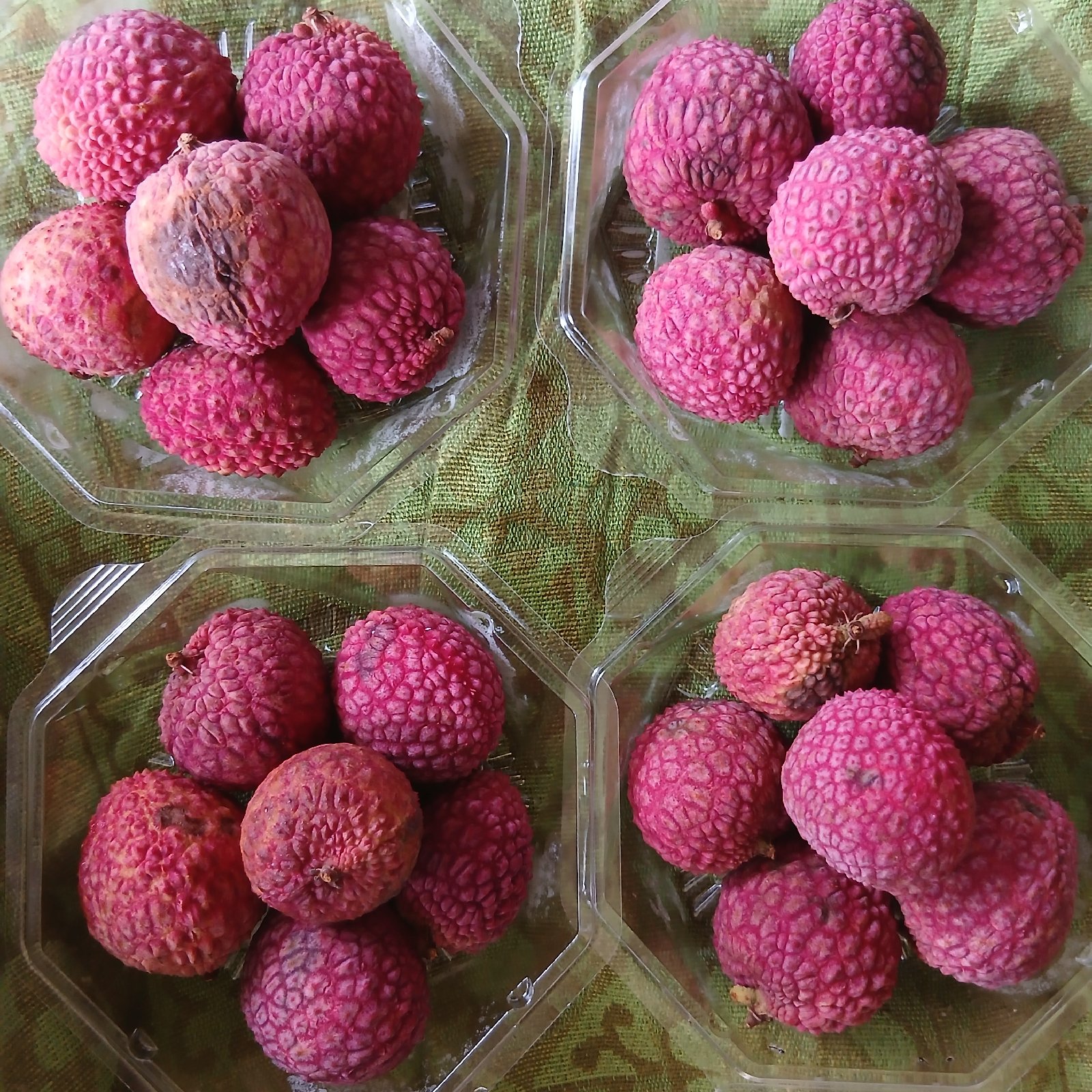 宮崎生ライチ ｜ 果物/その他果物 産直アウル 農家・漁師など生産者