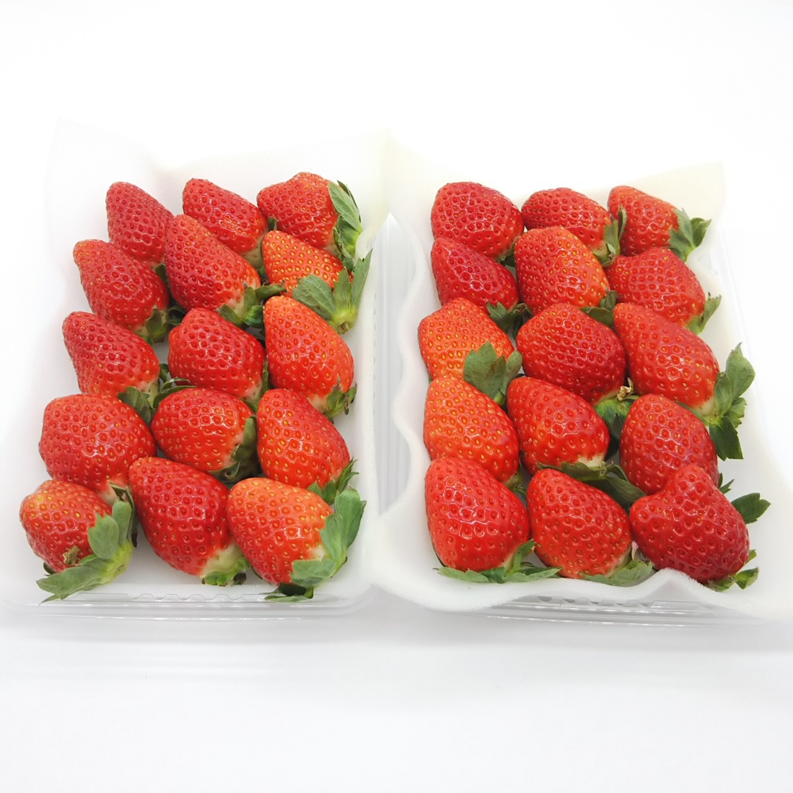 280g×4パック】【大粒中心のスターナイト、きらぴ香いちご☆】【ご注文