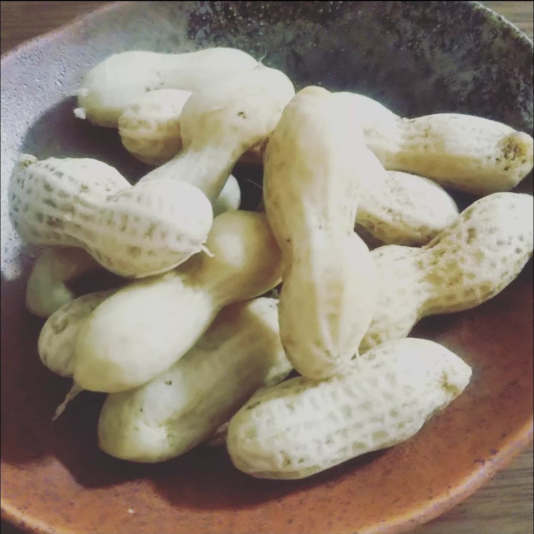 秋田県産