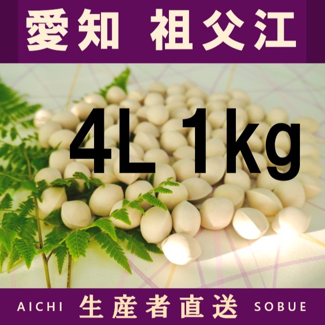 2026年新物 久寿 銀杏 ぎんなん 祖父江産 3L 2kg 2026年新物！ 愛知県 祖父江産 久寿 銀杏 ぎんなん 4L 1kg ☆秋の味覚