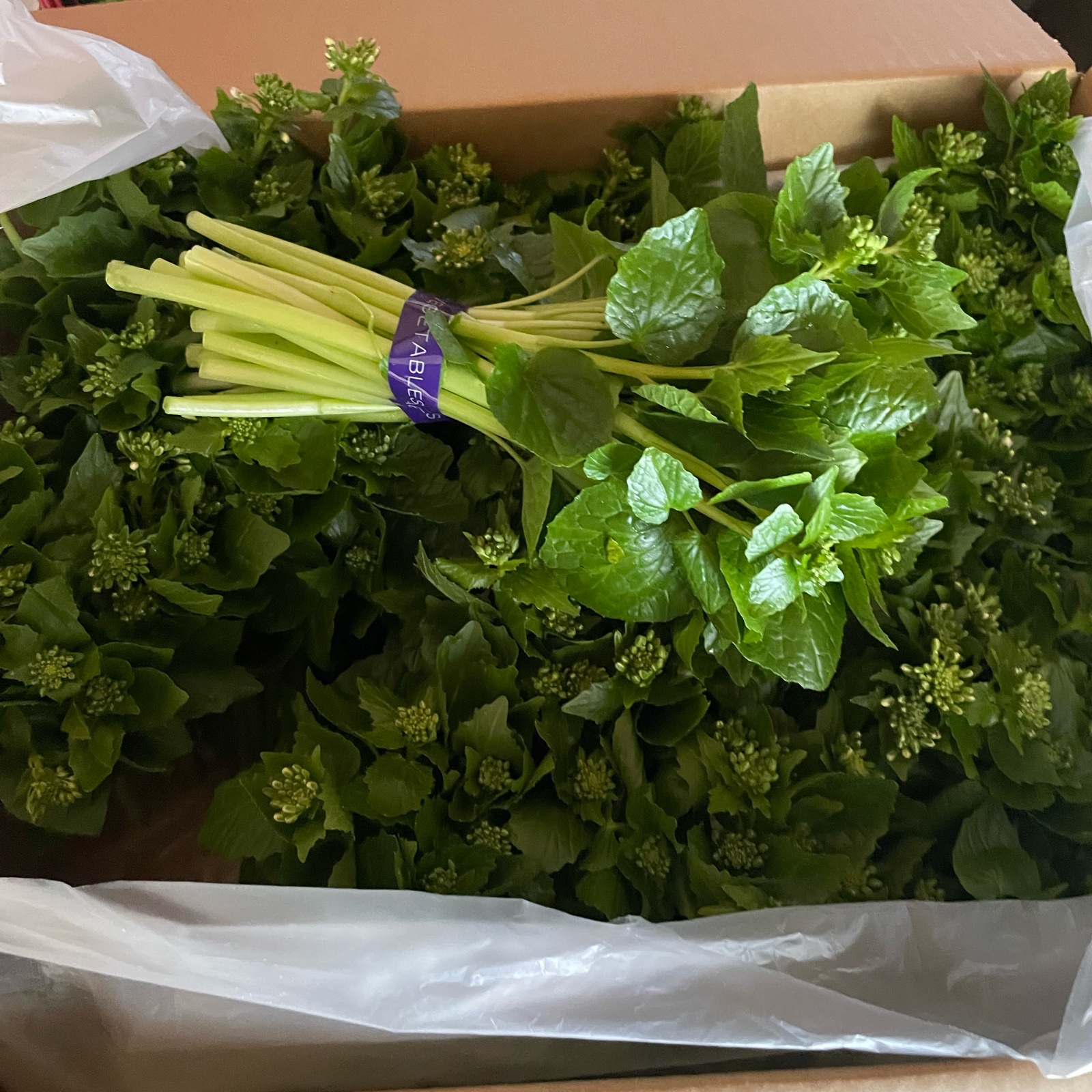 わさびの花(蕾) 東京産 ｜ 野菜/薬味 産直アウル 農家・漁師など生産者