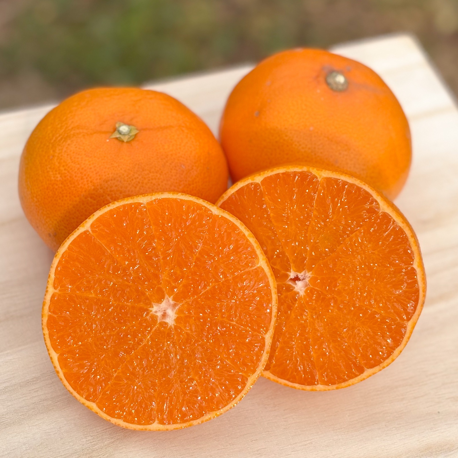 愛媛県西予市明浜町産 せとか 約5kg（サイズ混合）産地直送｜とりこ