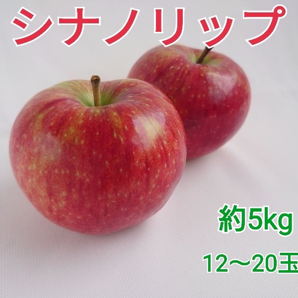 のりたま　クール便　シナノリップ5キロ
