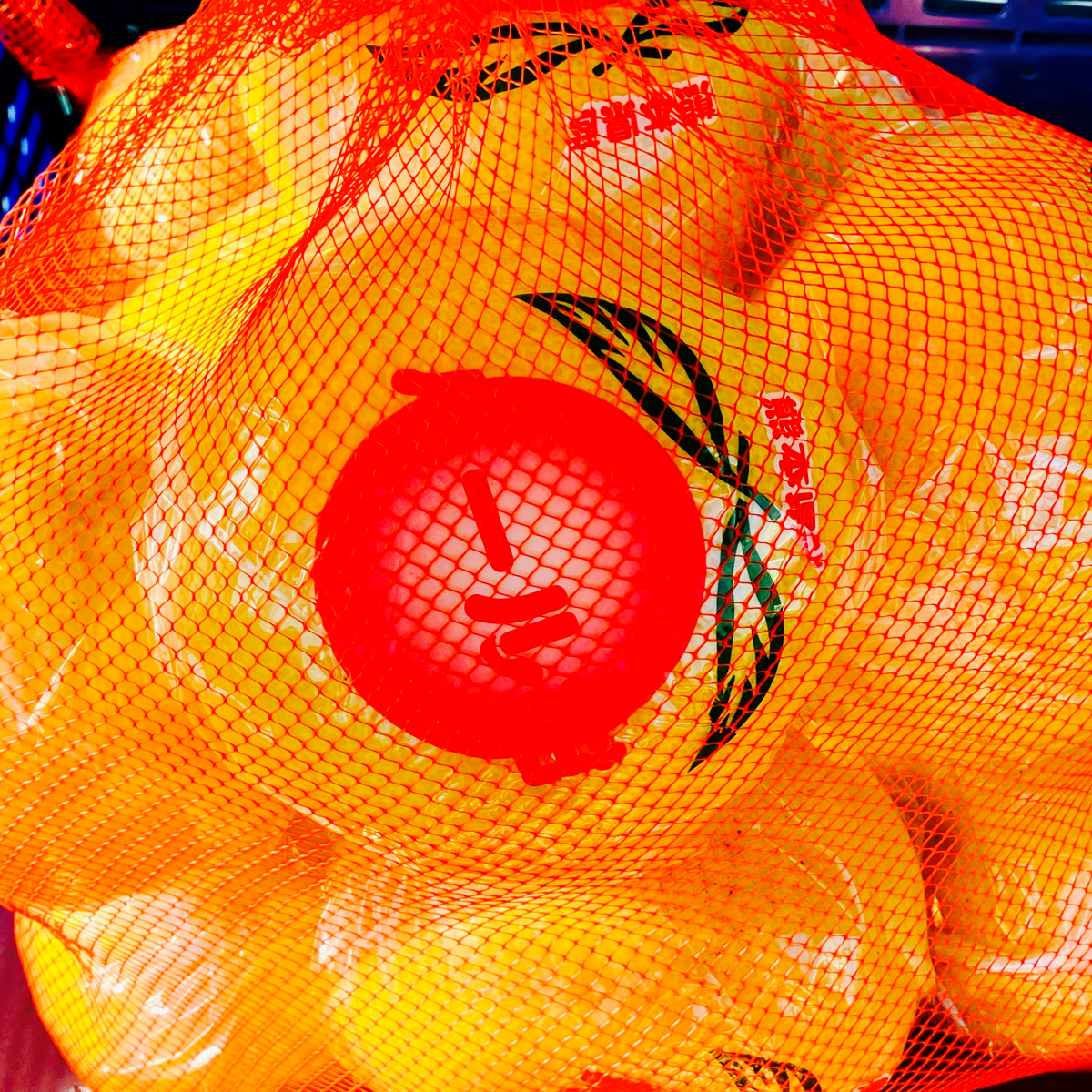 パール柑（果物＞オレンジ・その他みかん）の産地直送商品一覧（通販