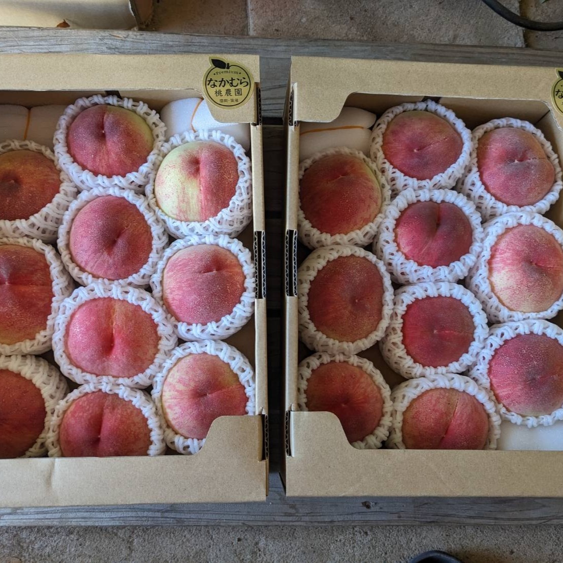 ご家庭用！1.8kg×2箱 幸せを感じる桃 ｜ 果物/もも 産直アウル 農家