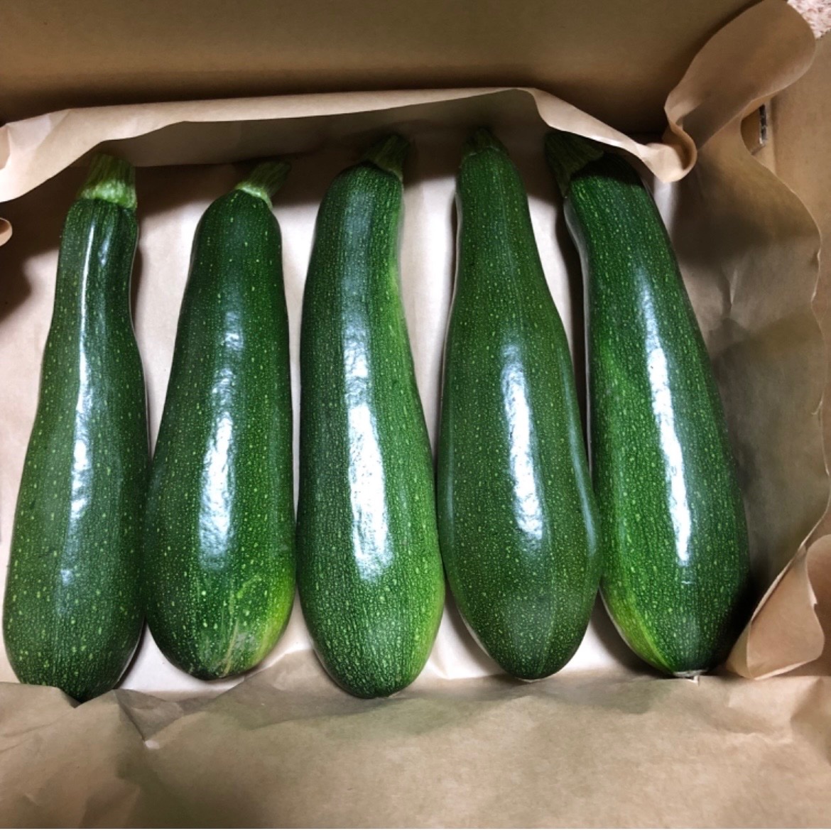 期間限定！】自然栽培・固定種ズッキーニ(1kg) ｜ 野菜/ズッキーニ