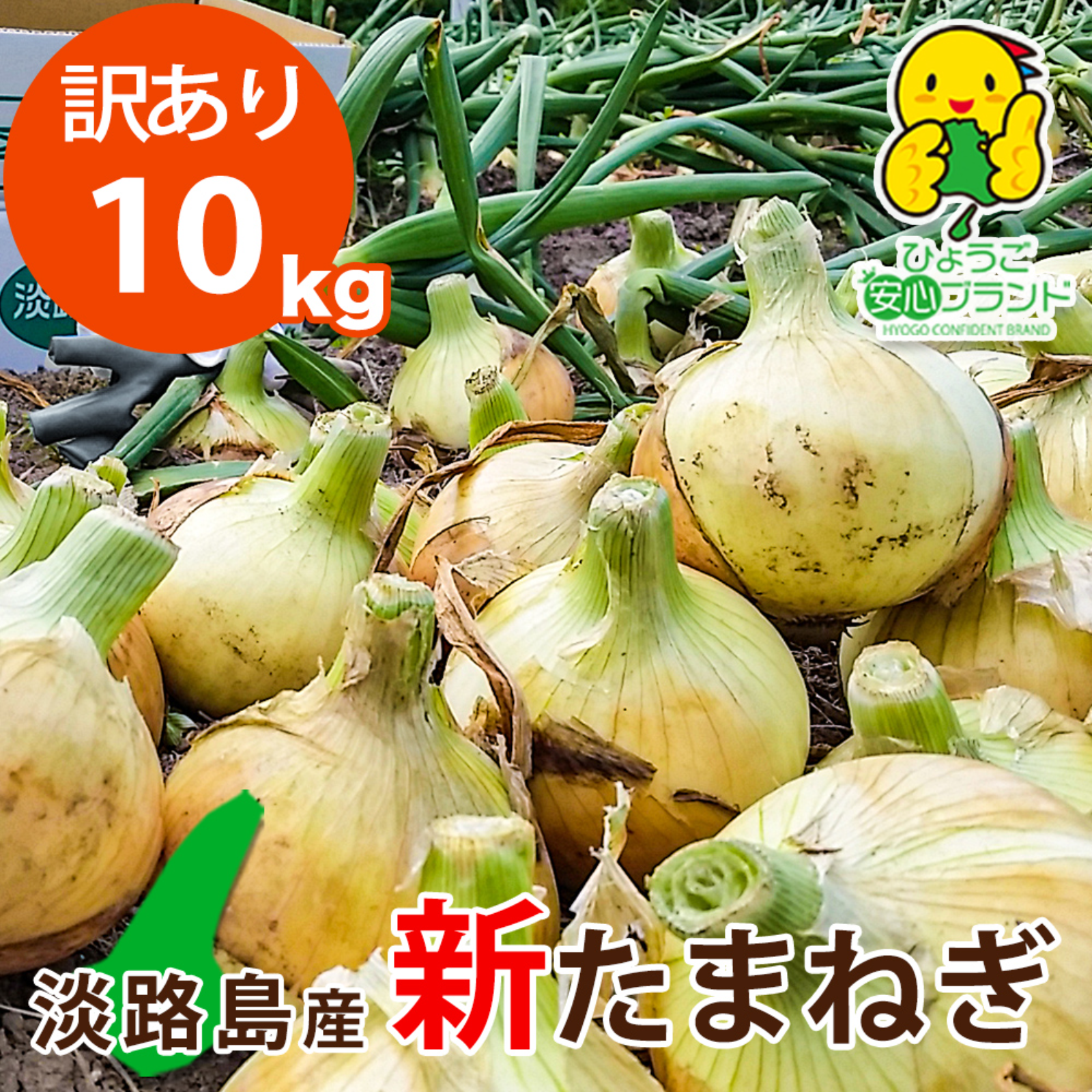 訳あり品】淡路島産新たまねぎ 【10kg】 早生七宝 兵庫県認証食品