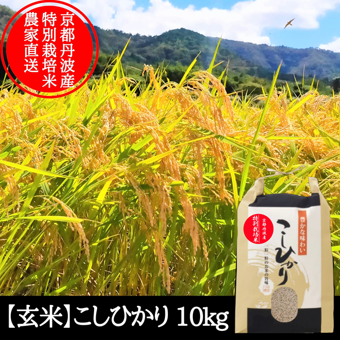 玄米】コシヒカリ 10kg 特別栽培米 こしひかり 京都府産 | 米・穀物